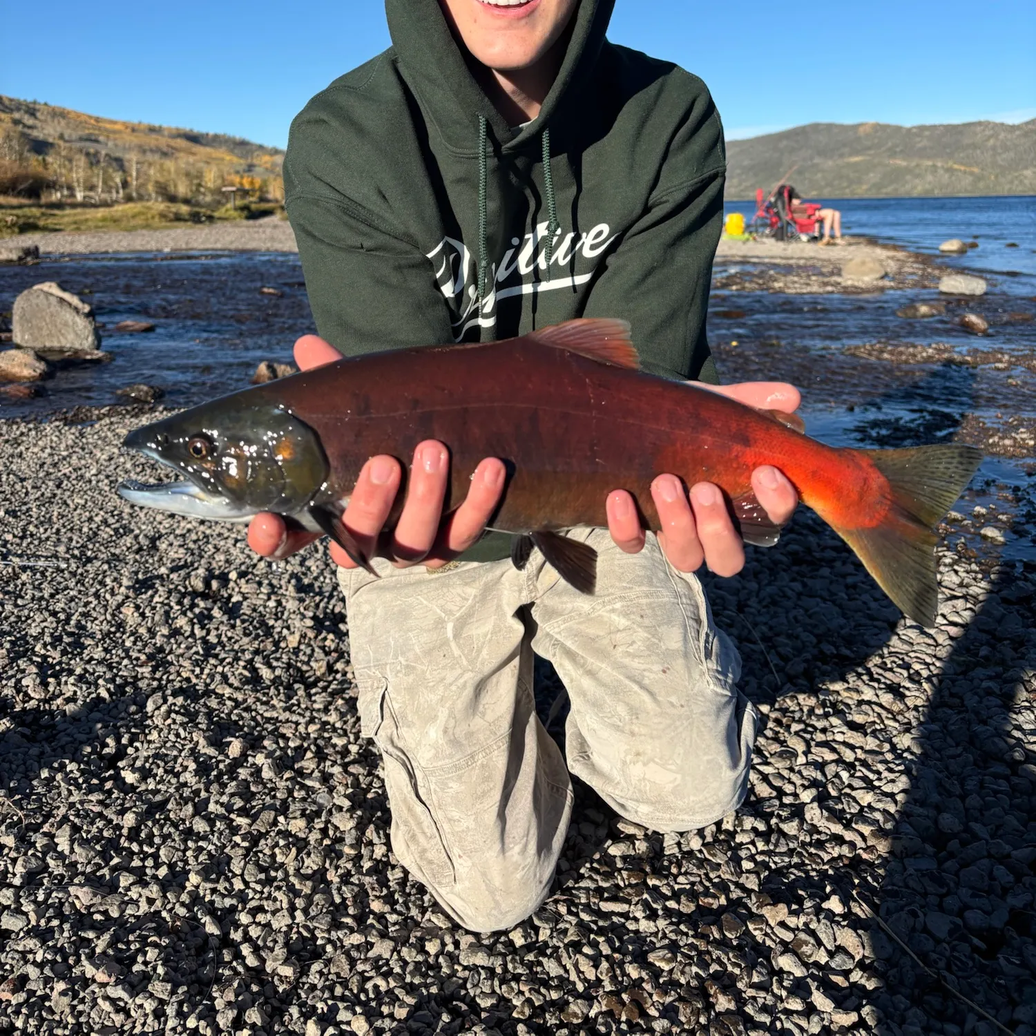 Kokanee salmon caught on Fishbrain
