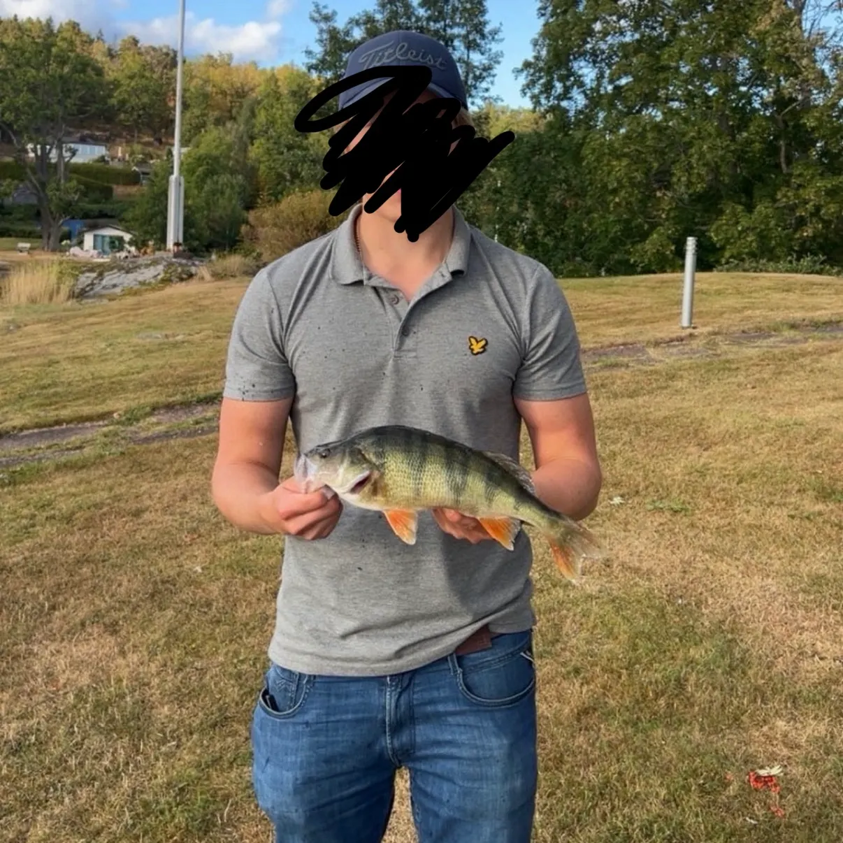 European perch caught on Fishbrain