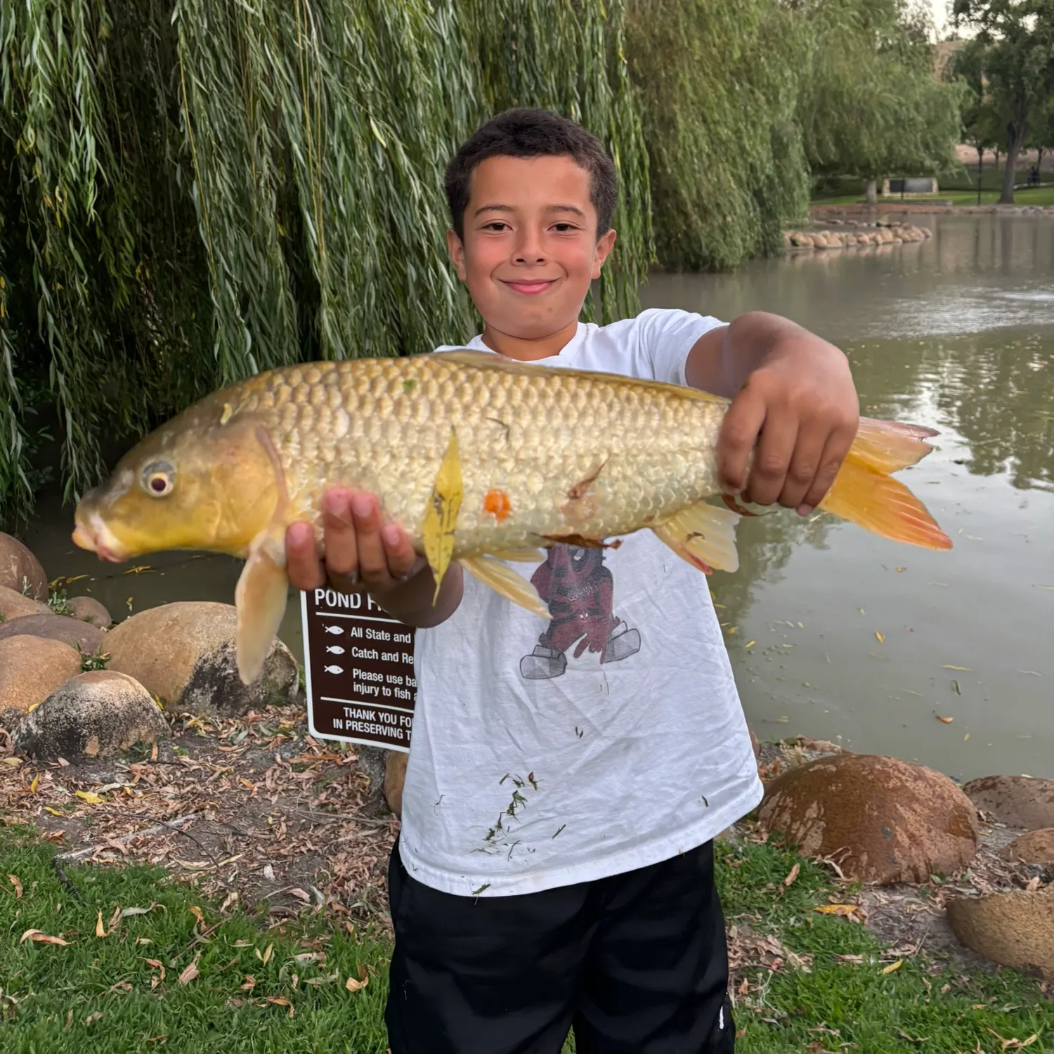 recently logged catches