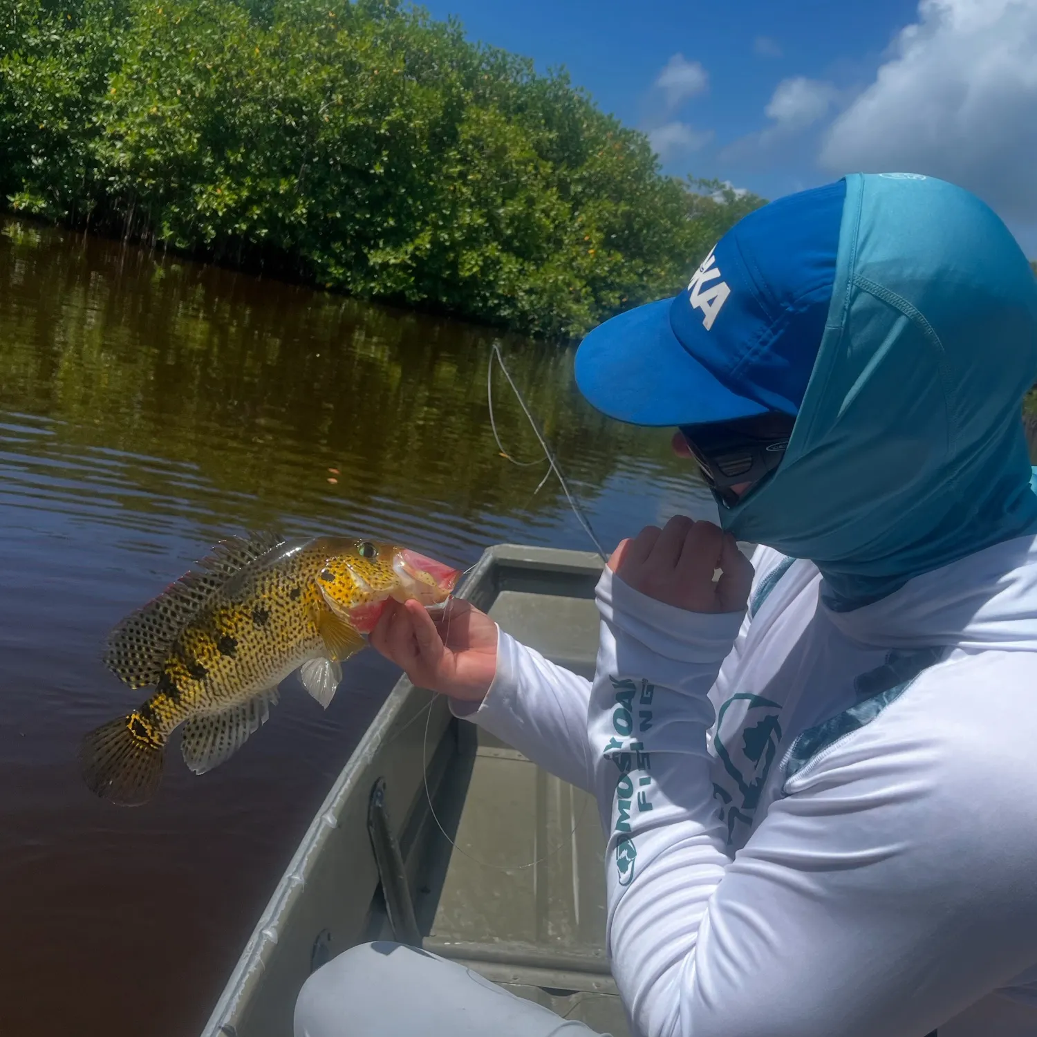 The most popular recent Yellowjacket cichlid catch on Fishbrain