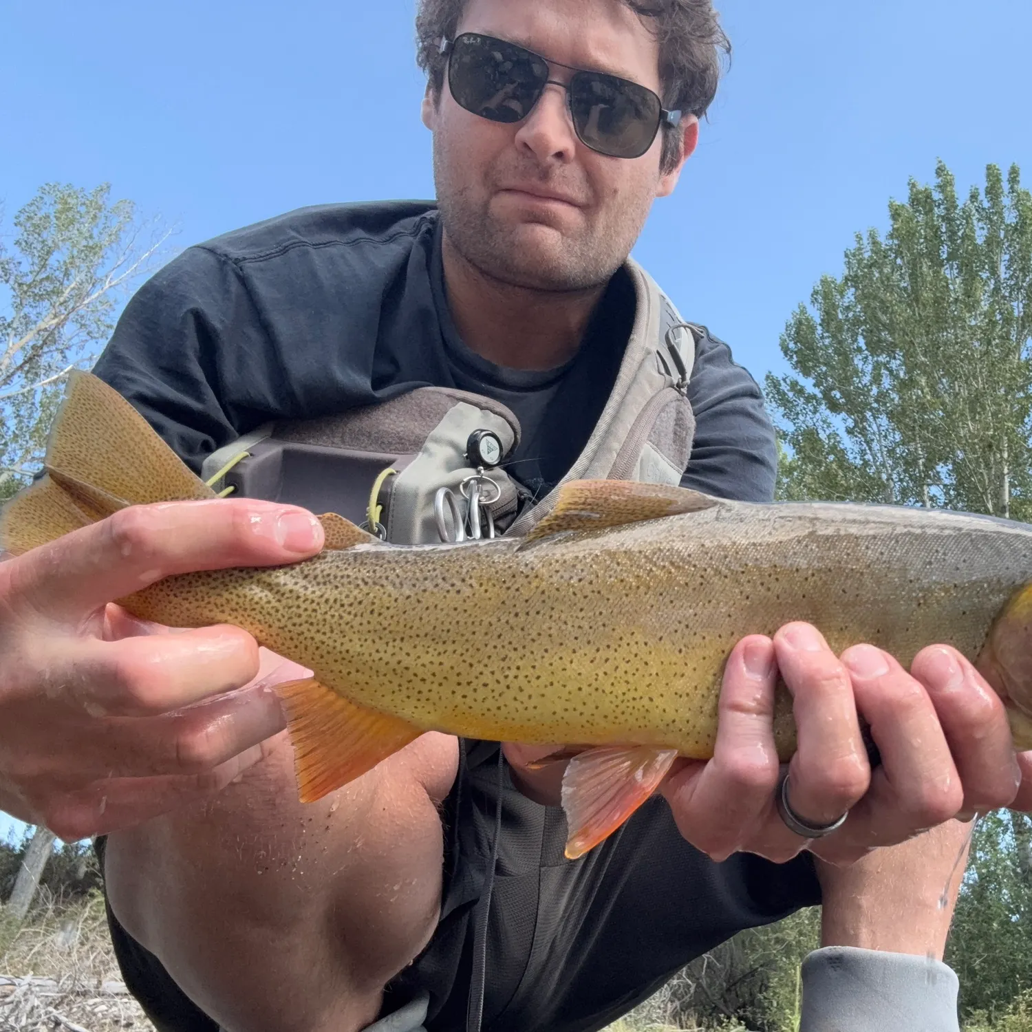 Cutthroat trout caught on Fishbrain