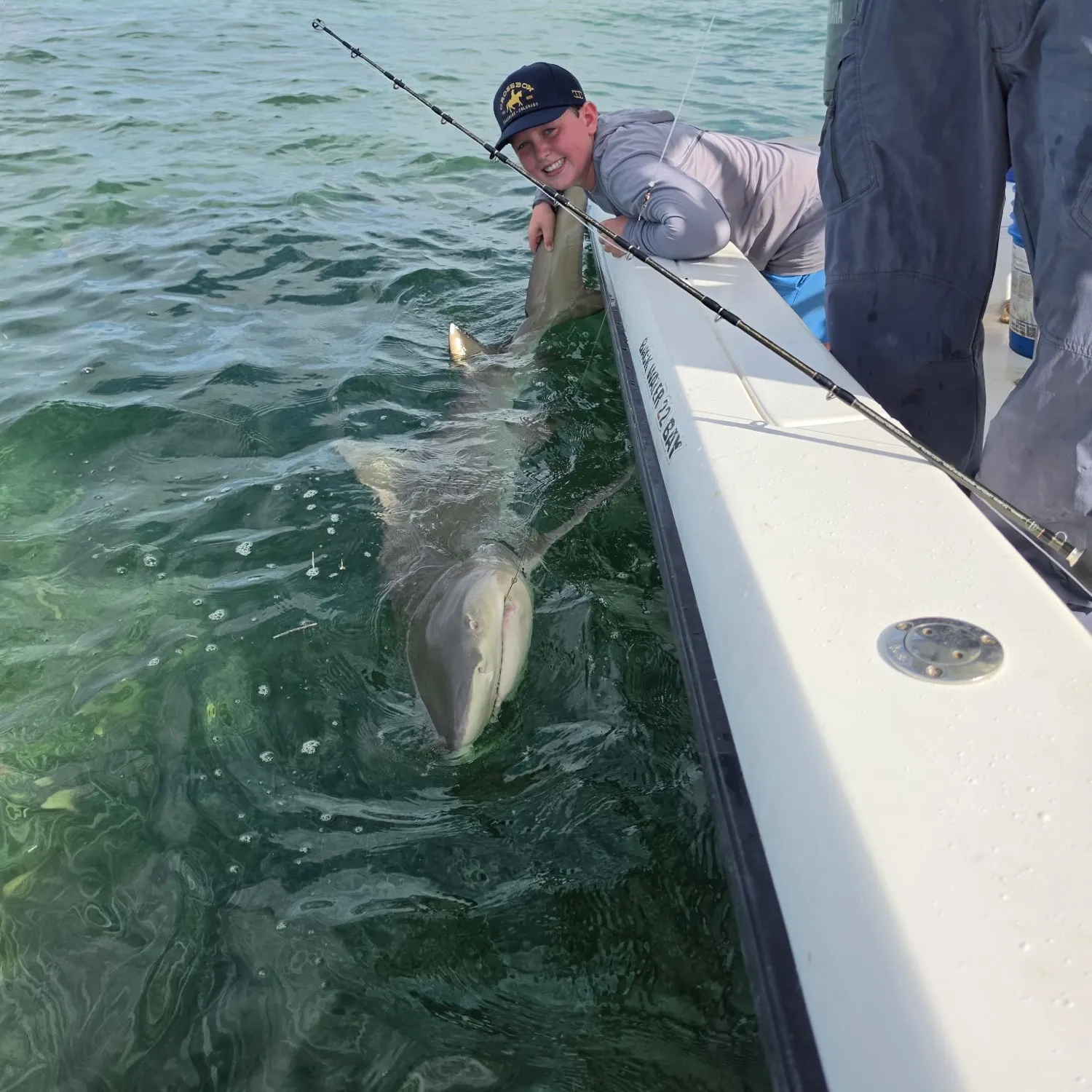 The most recent Lemon shark catches on Fishbrain