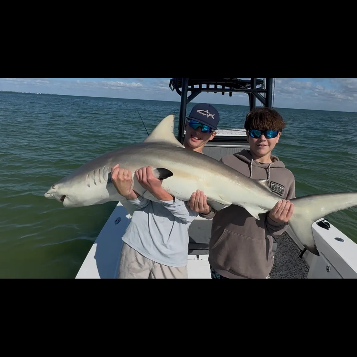 The most recent Blacktip shark catches on Fishbrain