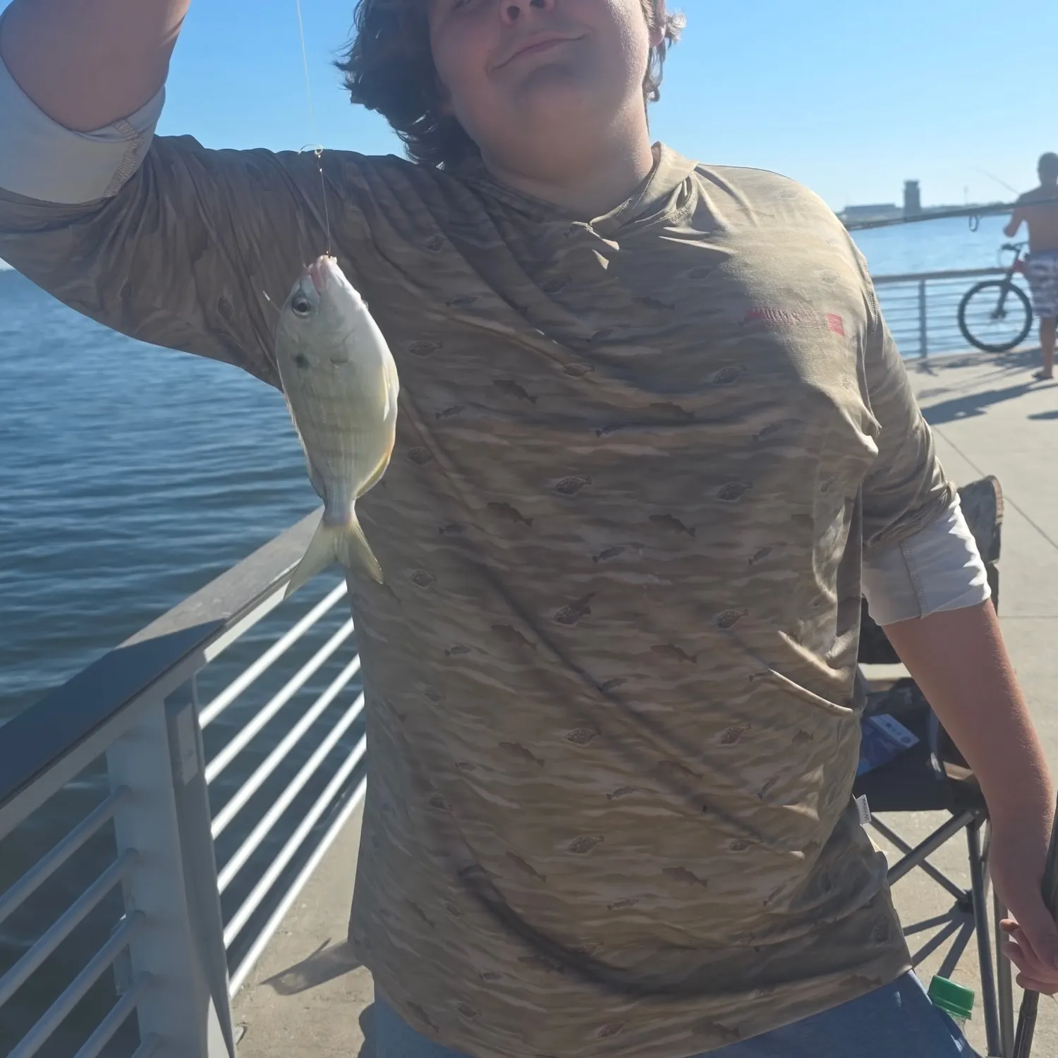 Pinfish caught on Fishbrain