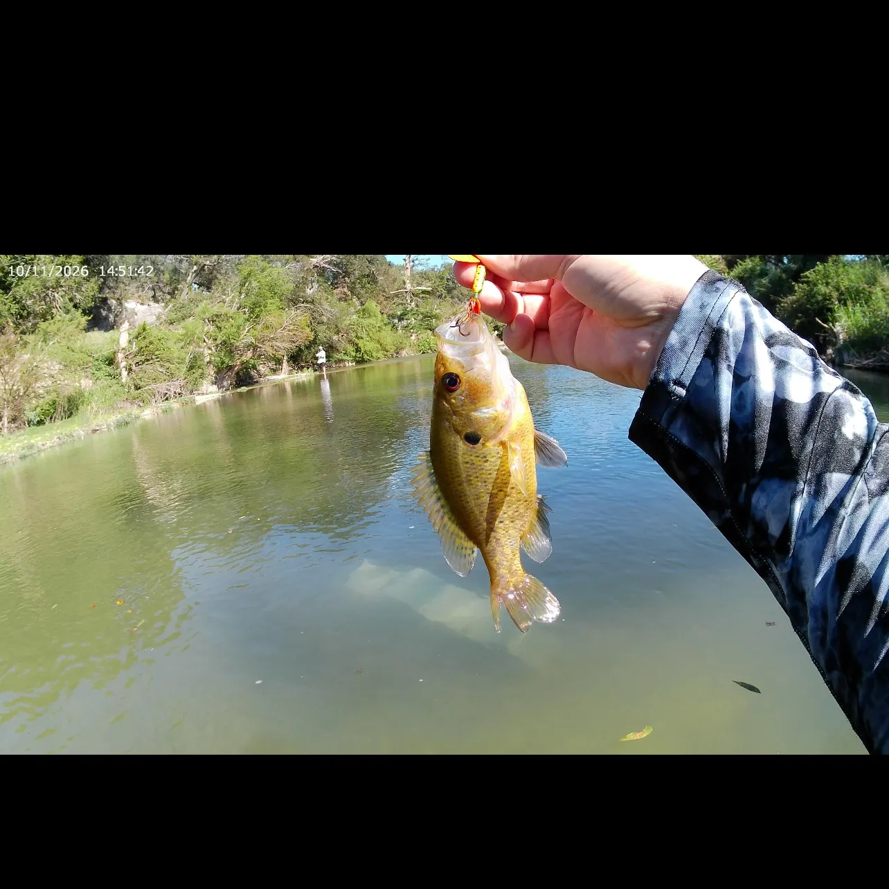 Fish caught on Fishbrain