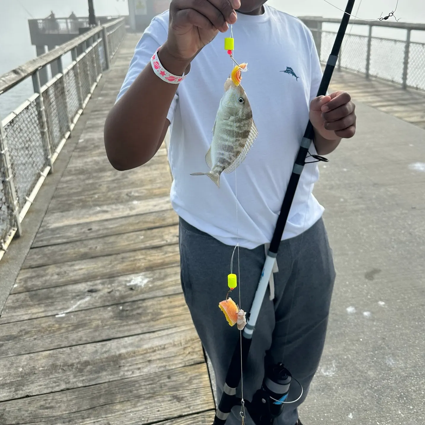 Spot croaker caught on Fishbrain
