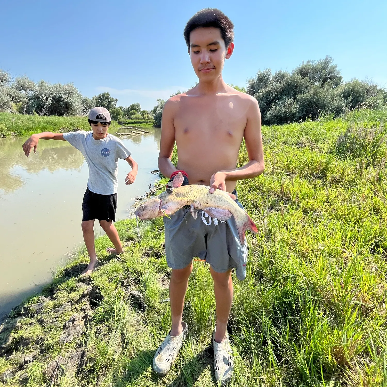 catch