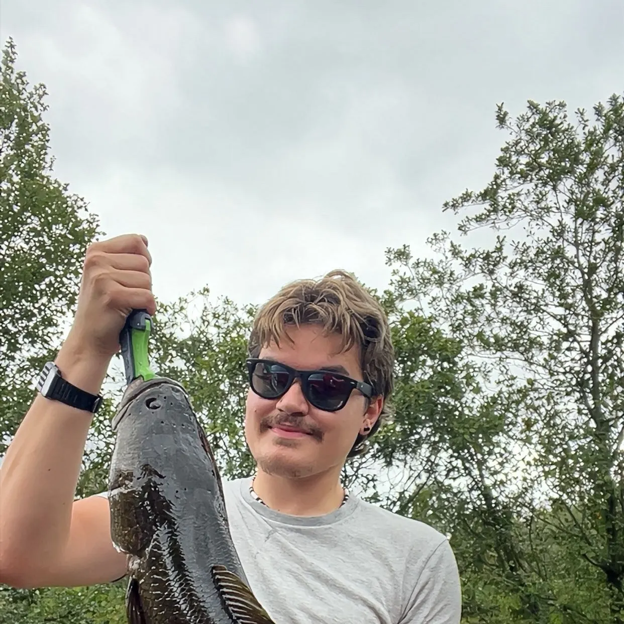 Northern snakehead caught on Fishbrain