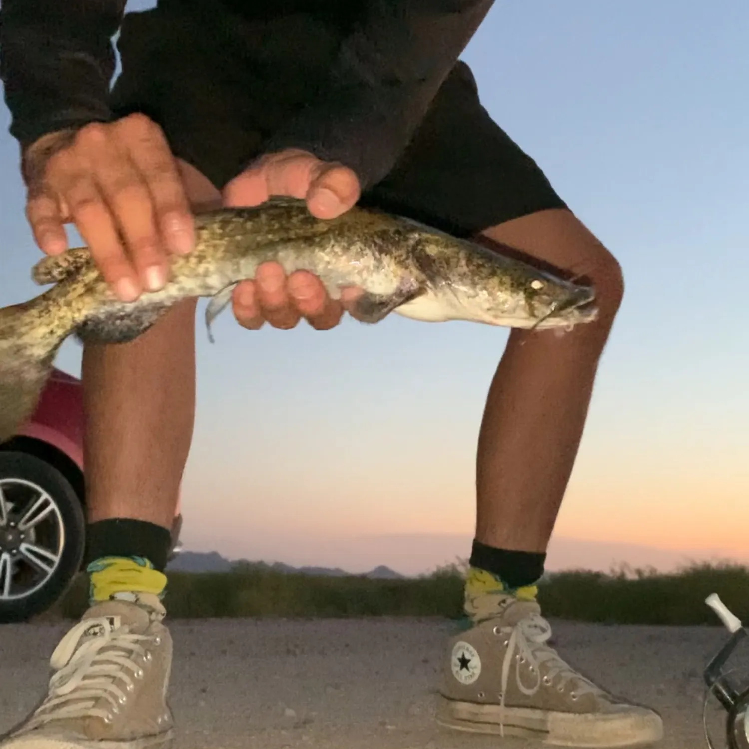 catch