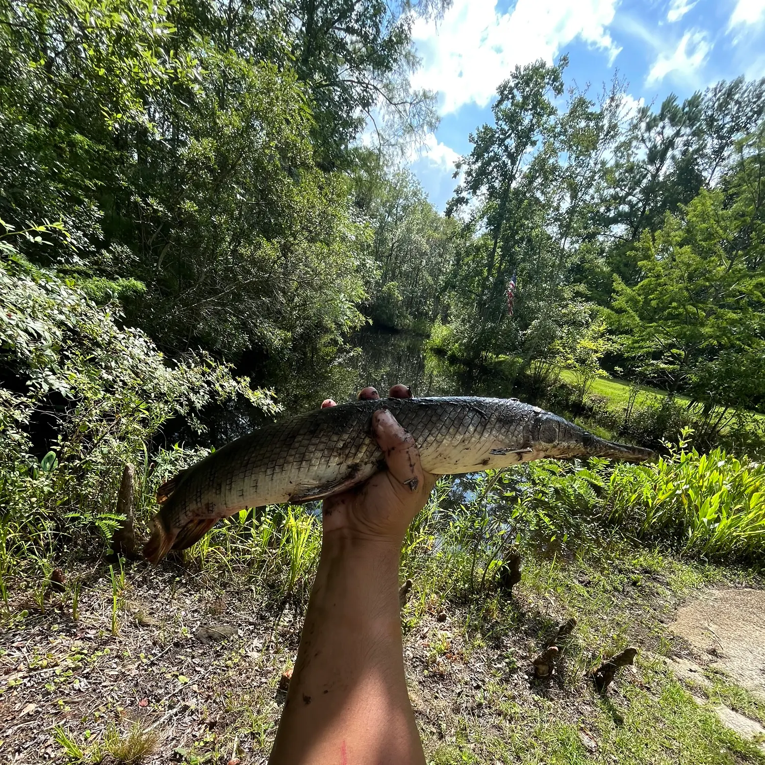 catch