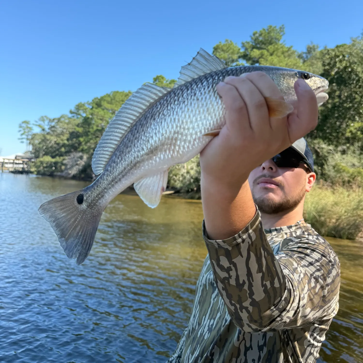 Red drum caught on Fishbrain