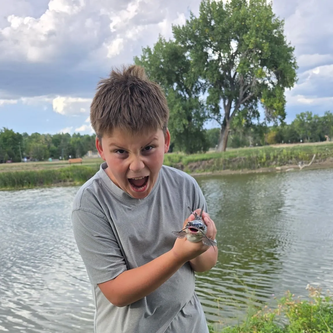 Fish caught on Fishbrain
