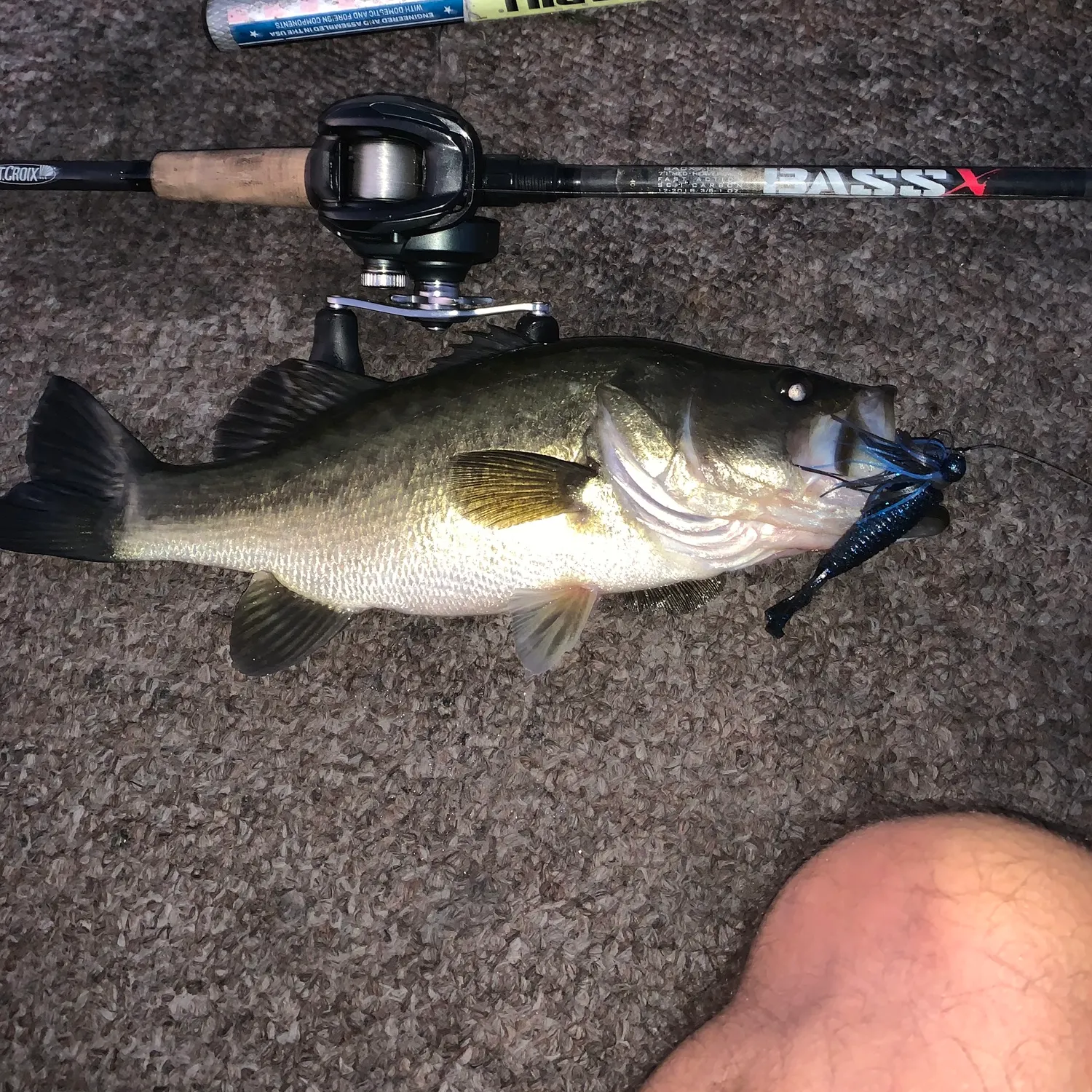 Largemouth bass caught on Fishbrain