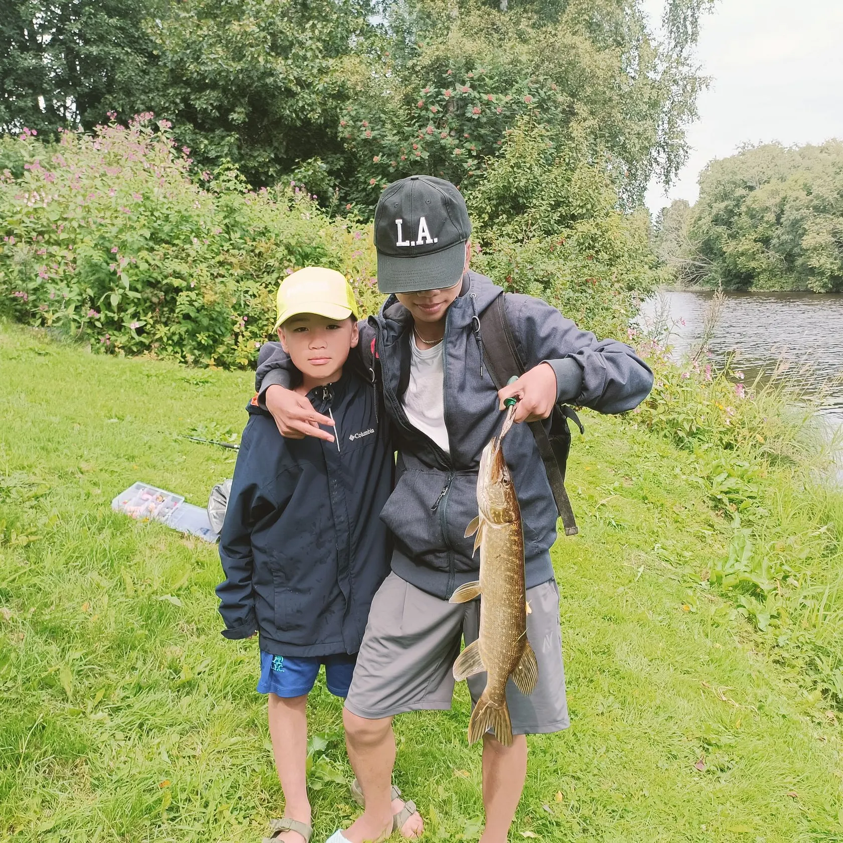 Northern pike caught on Fishbrain