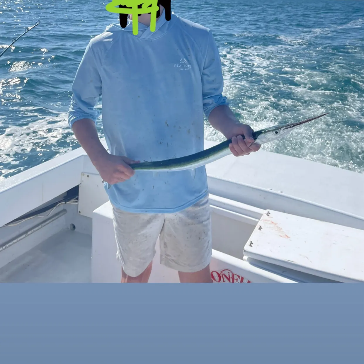 The most recent Hound needlefish catches on Fishbrain