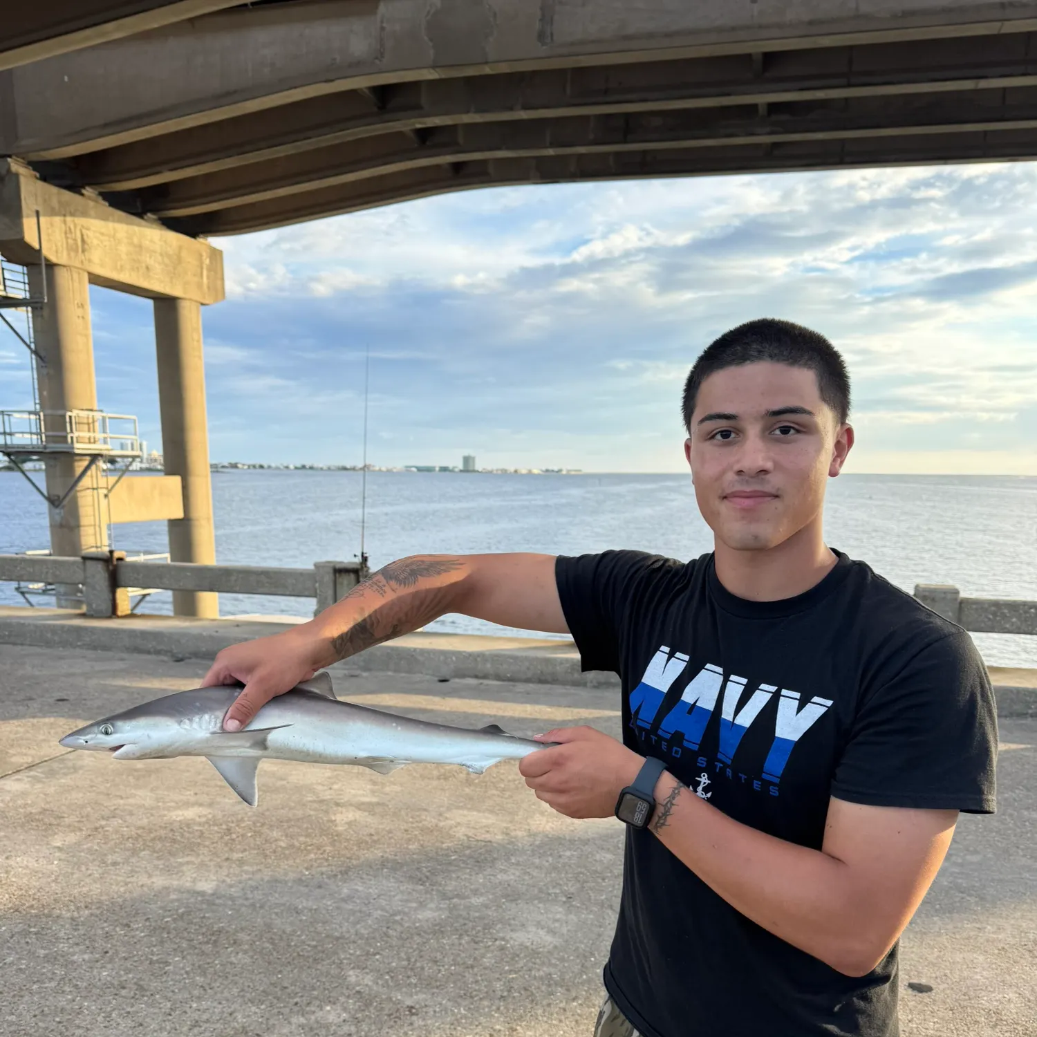 The most recent Silky shark catches on Fishbrain