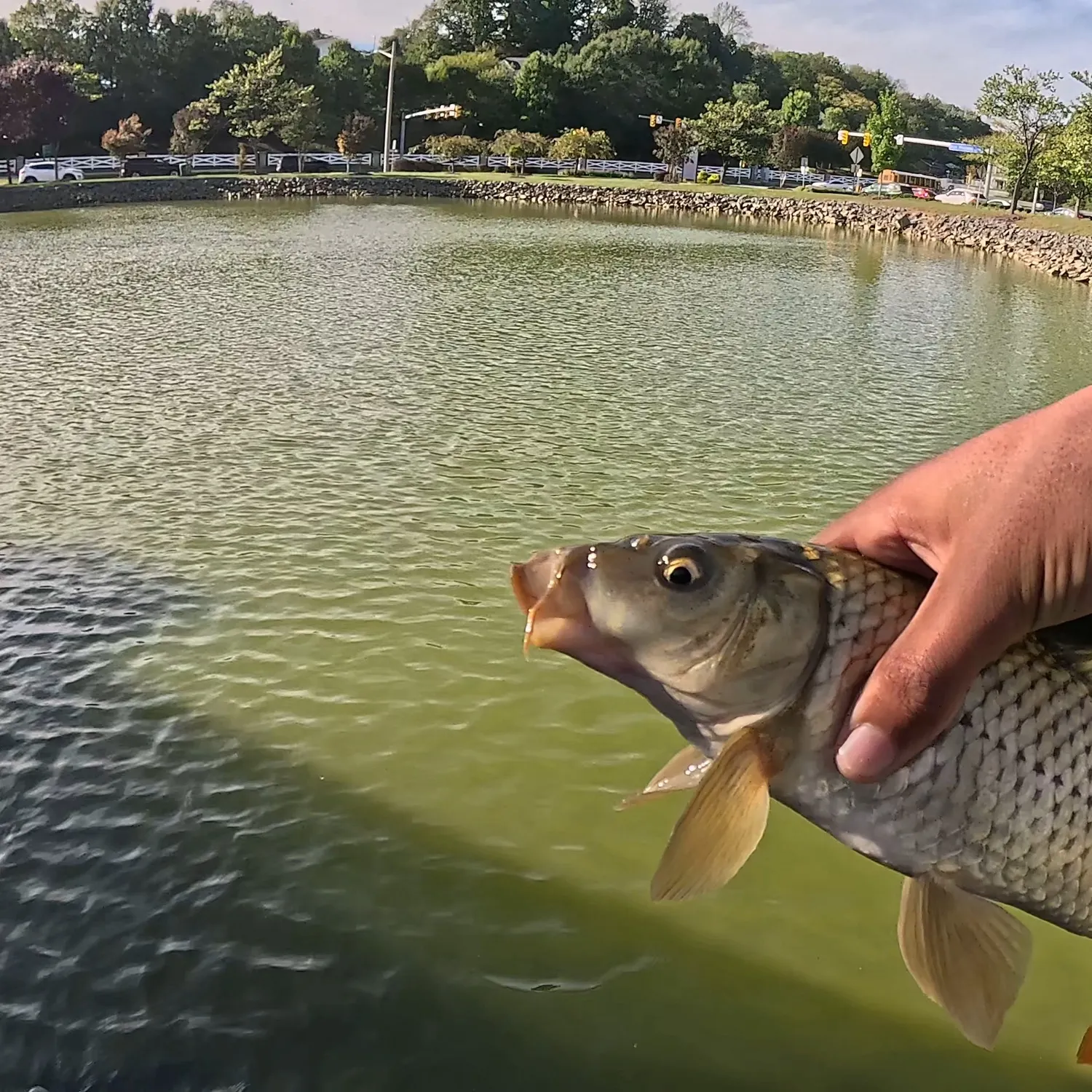 catch