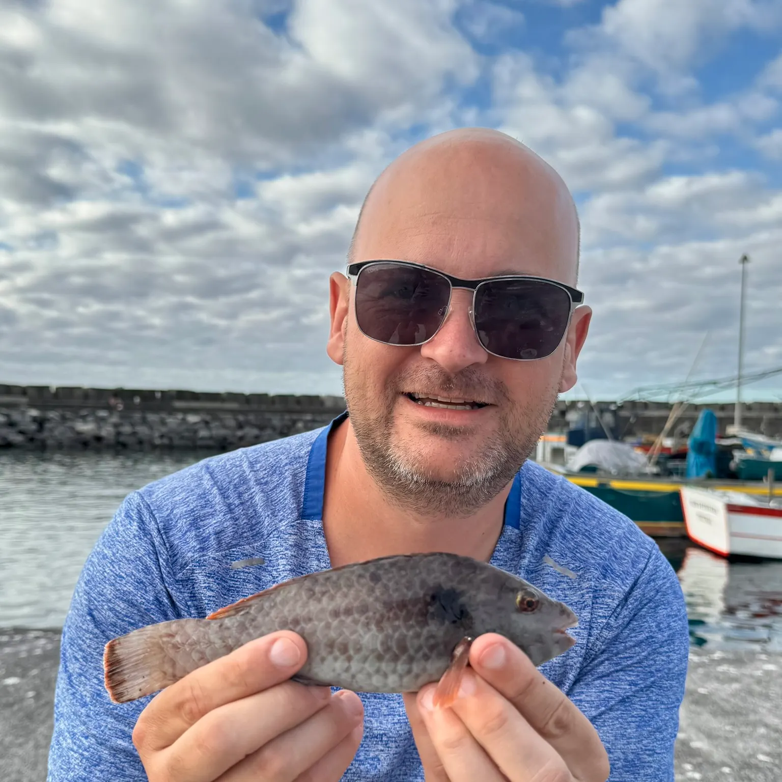 The most recent Mediterranean parrotfish catches on Fishbrain