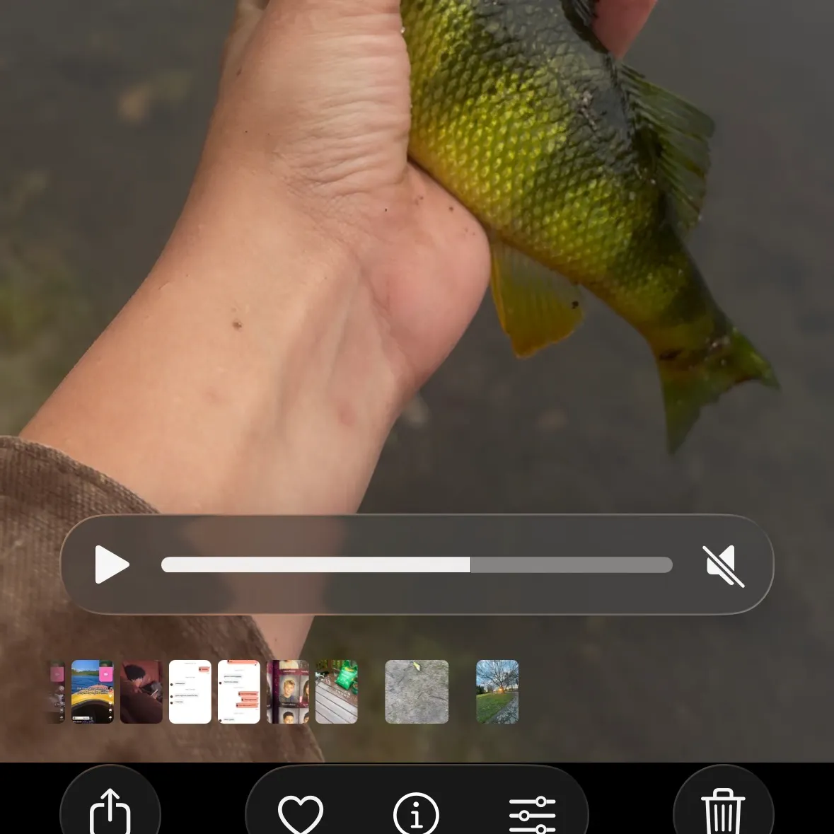 recently logged catches