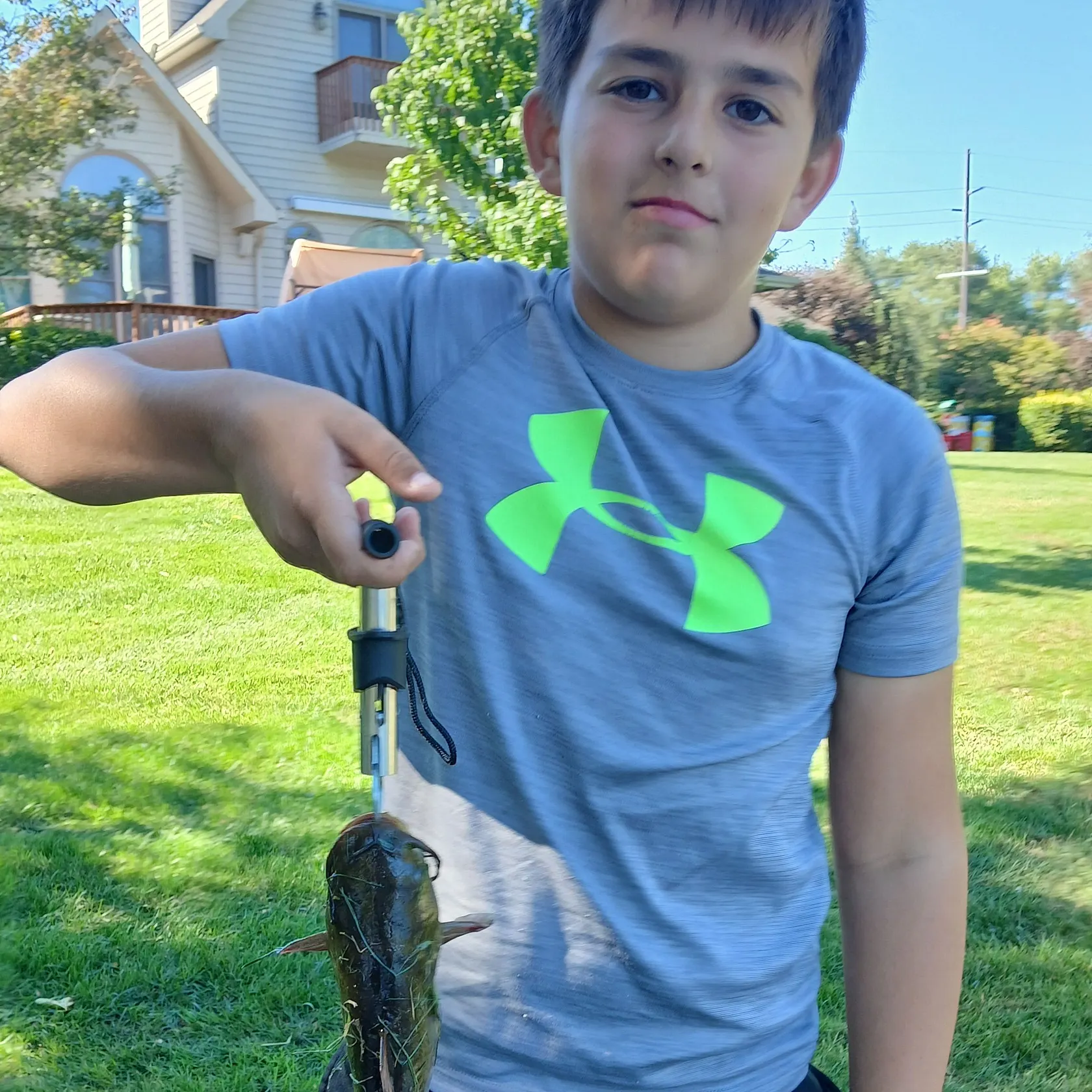 Black bullhead caught on Fishbrain