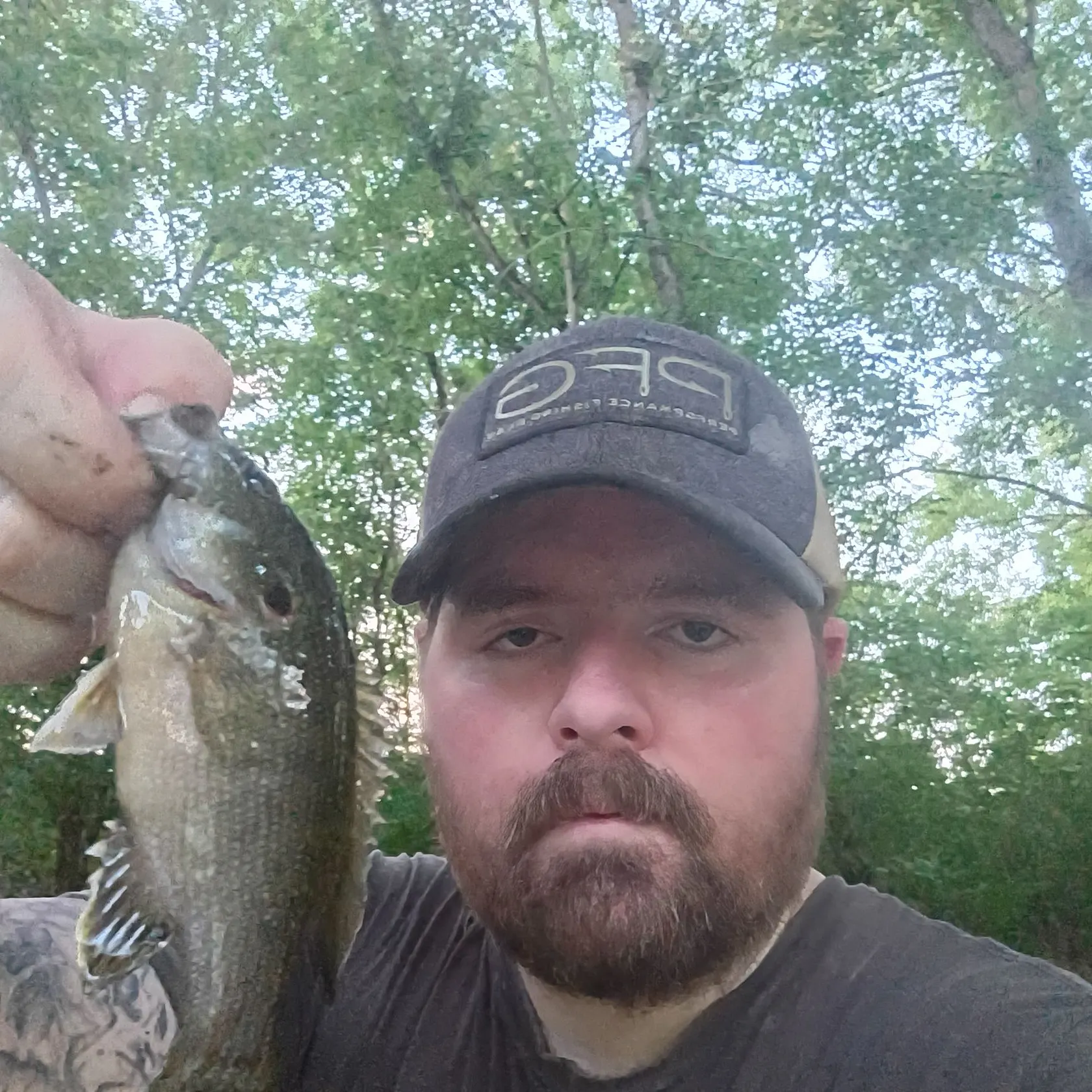 Green sunfish caught on Fishbrain