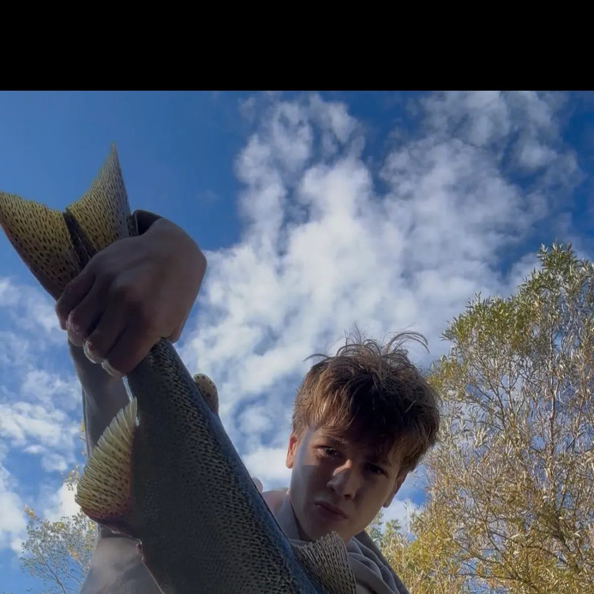 Chinook salmon caught on Fishbrain