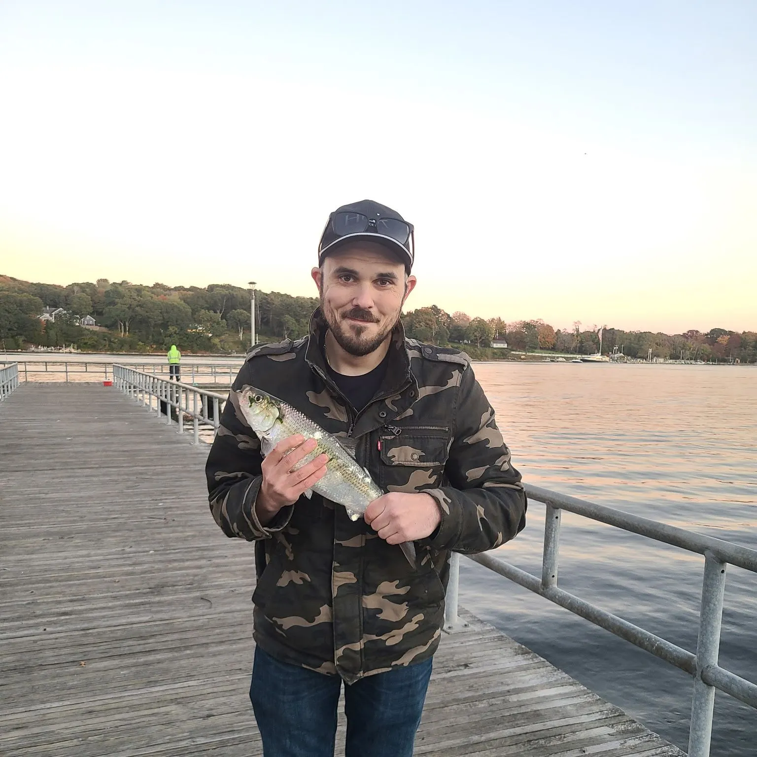 The most recent American shad catches on Fishbrain