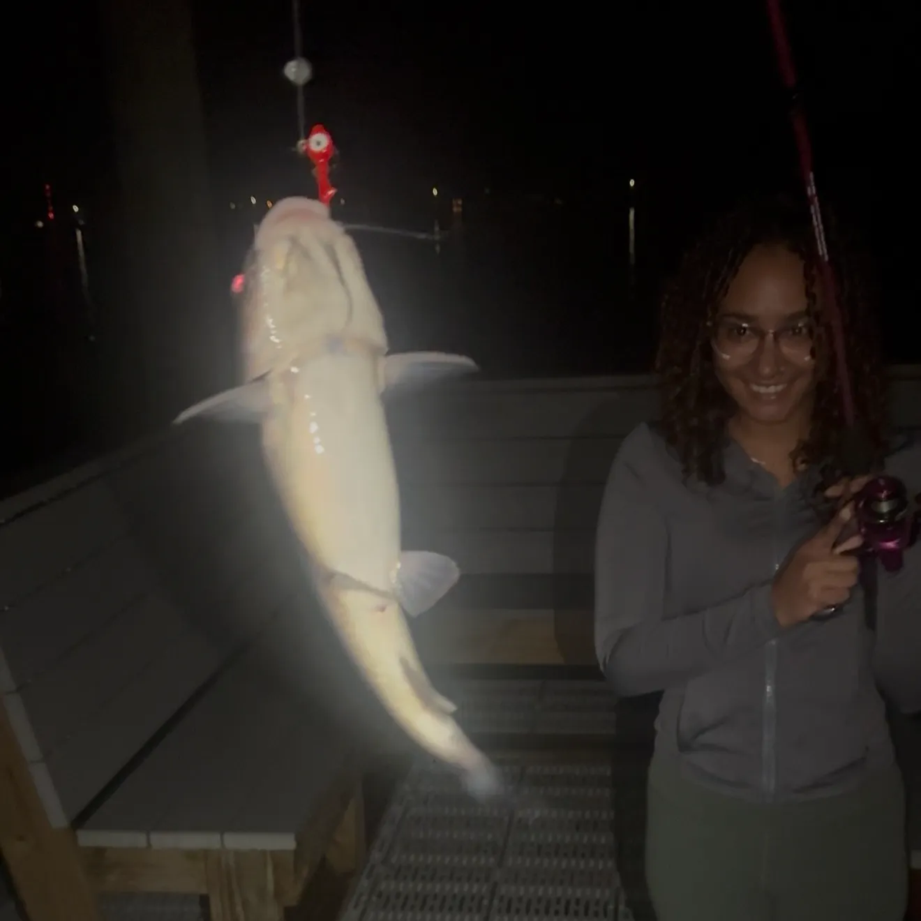 Hardhead sea catfish caught on Fishbrain