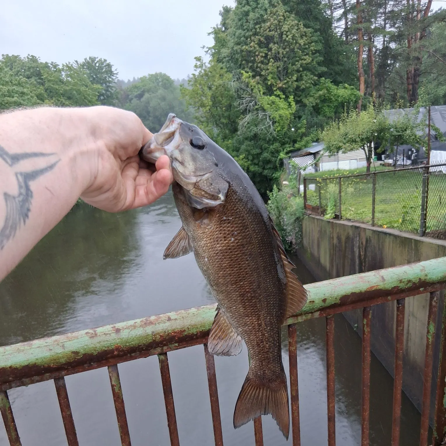 catch