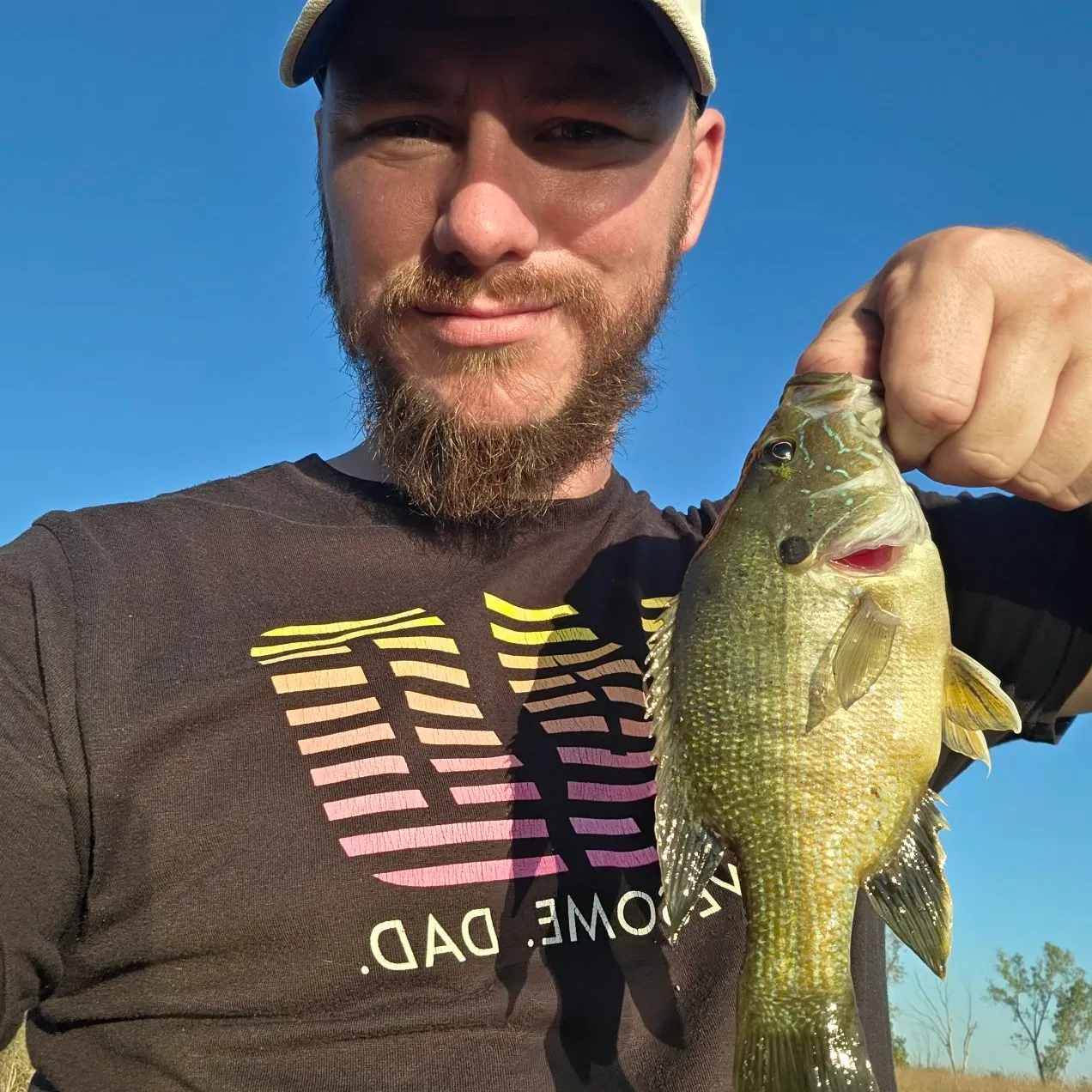 Green sunfish caught on Fishbrain