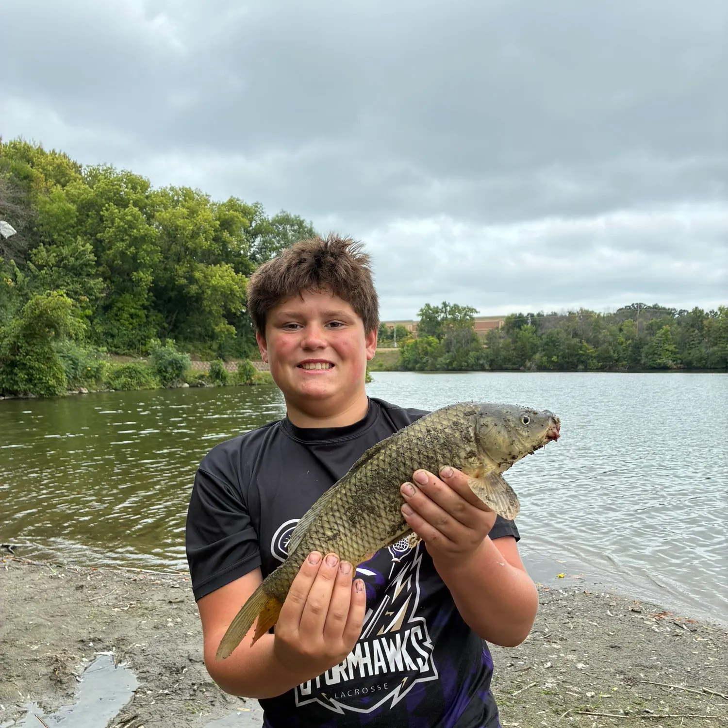 Common carp caught on Fishbrain