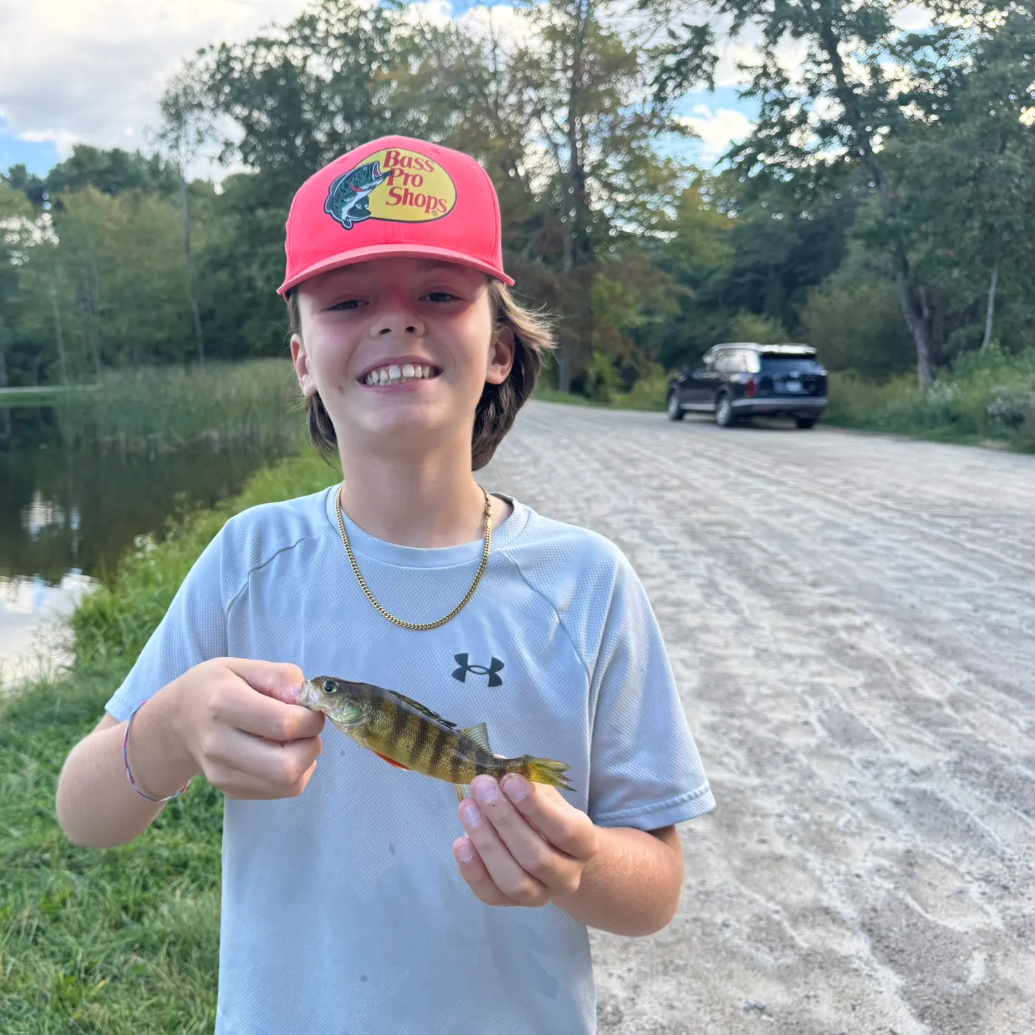 Yellow perch caught on Fishbrain