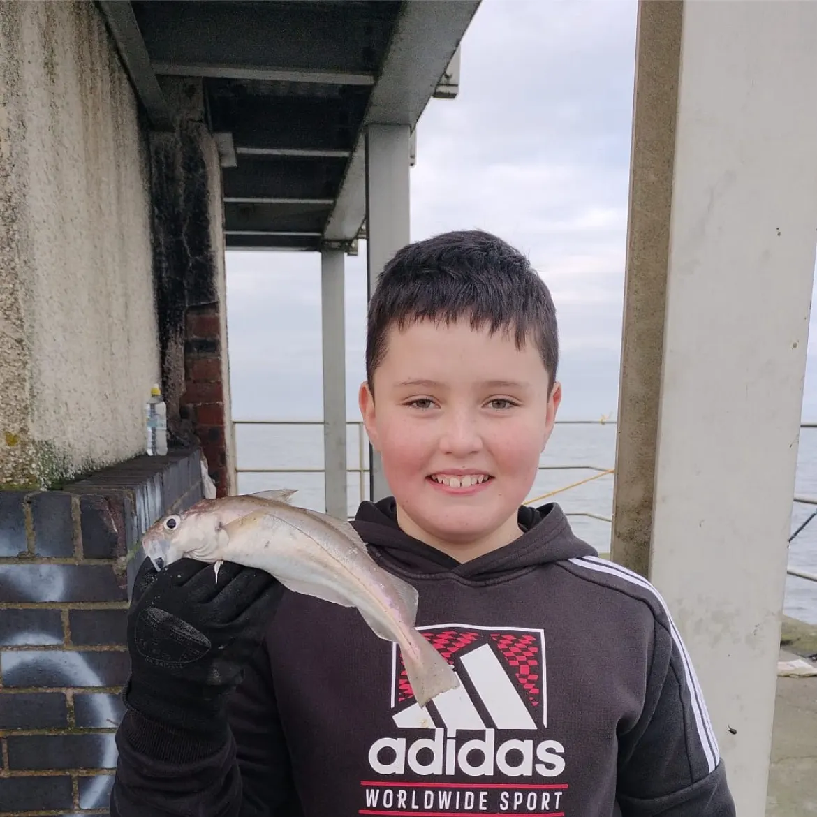 The most recent Whiting catches on Fishbrain