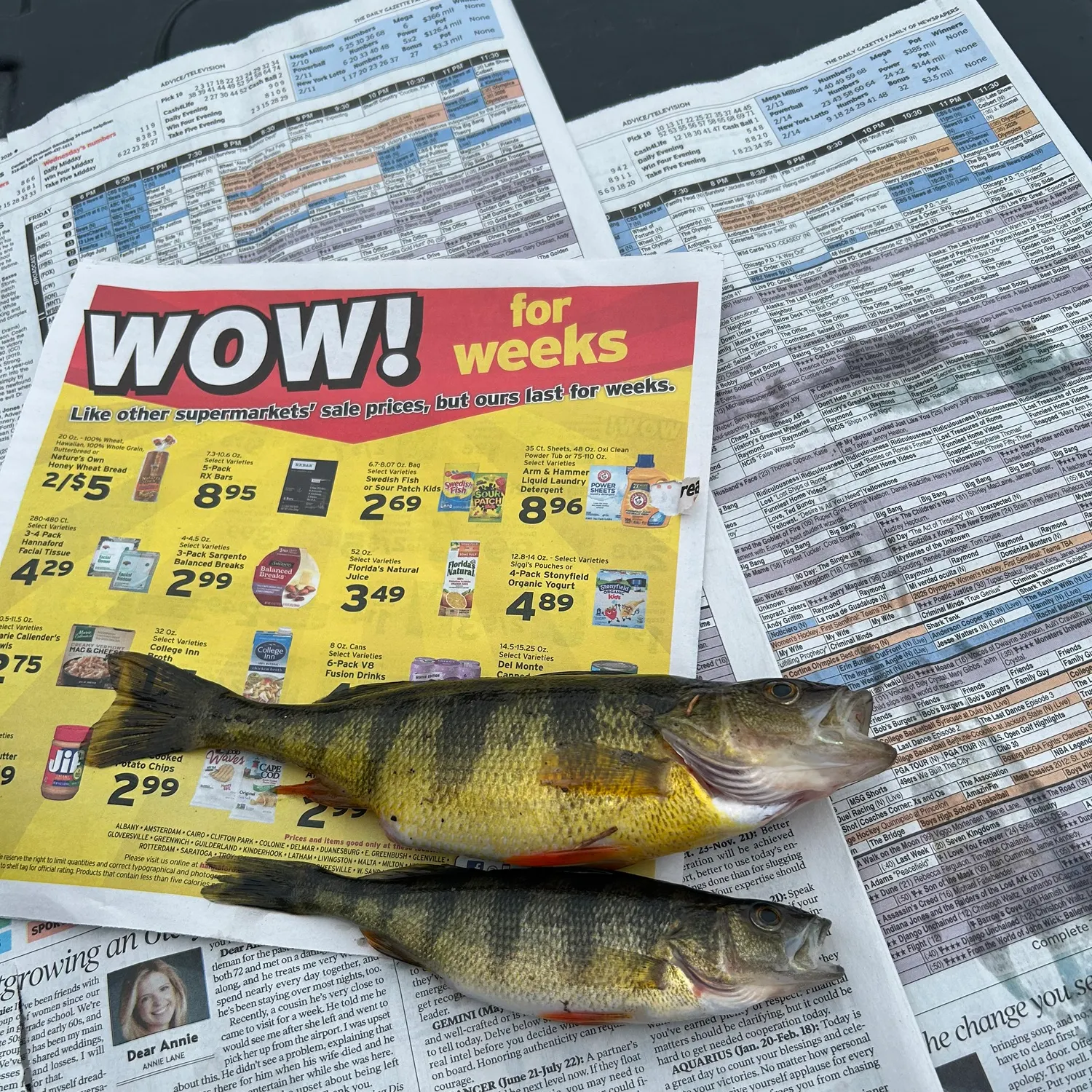 recently logged catches