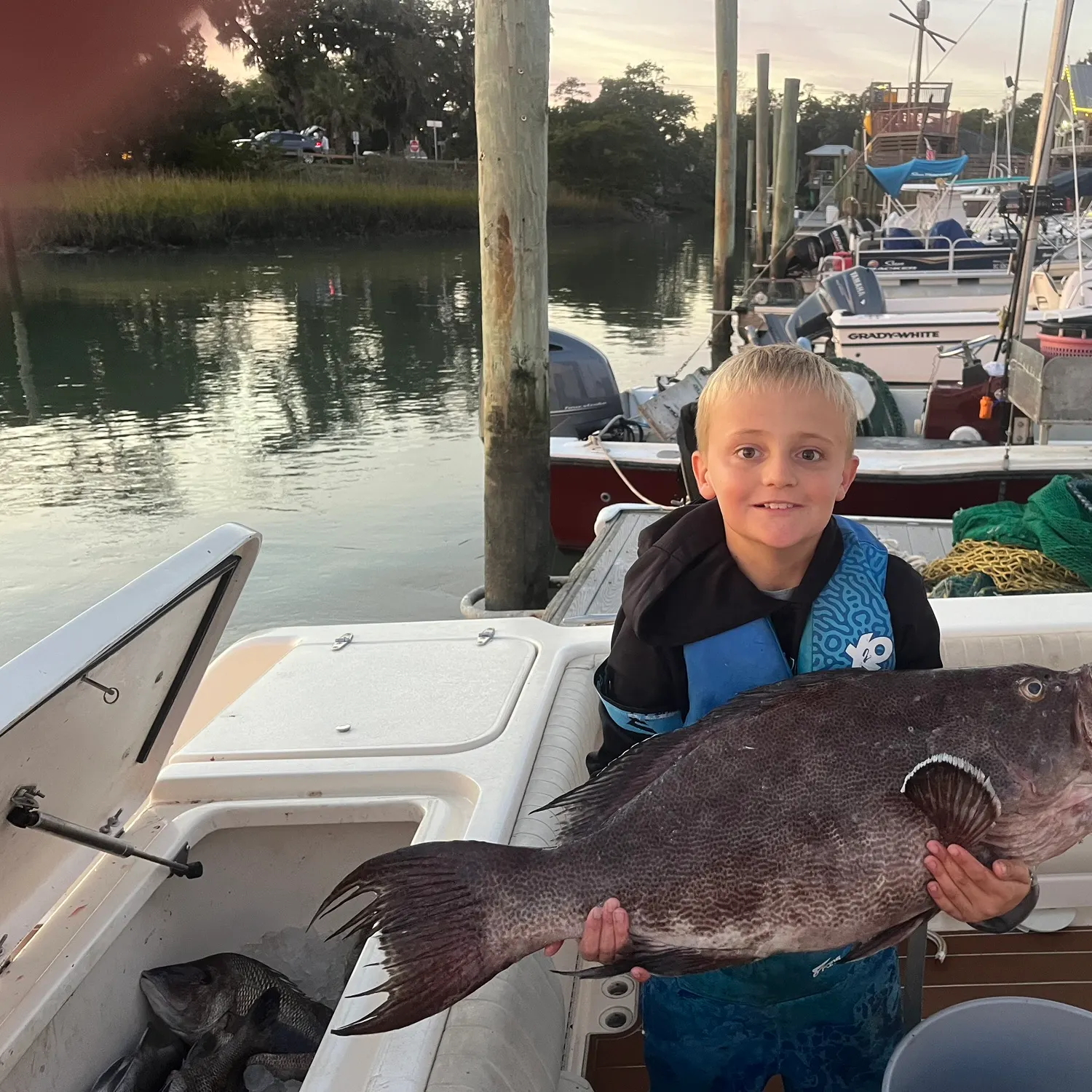 The most recent Scamp grouper catches on Fishbrain