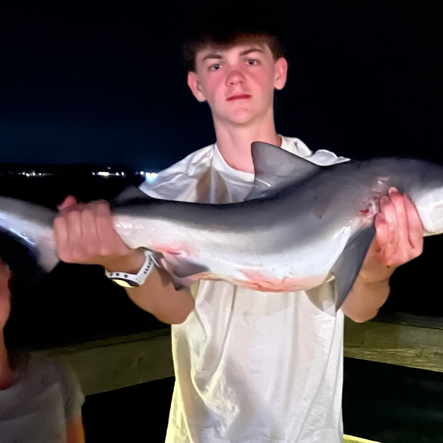The most recent Bull shark catches on Fishbrain