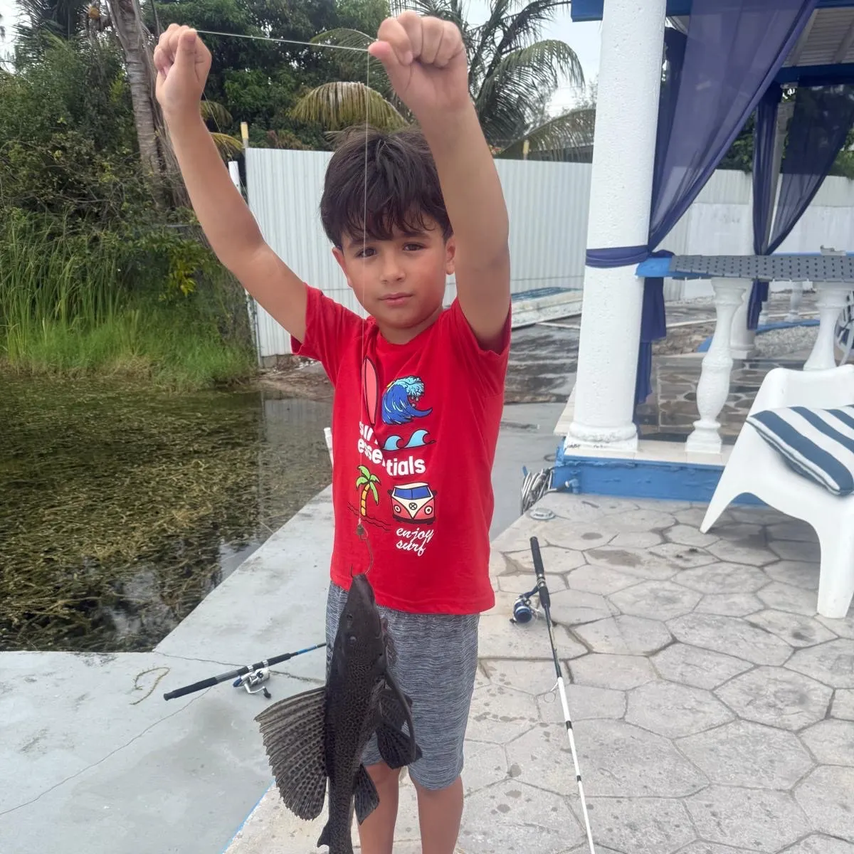 The most recent Suckermouth catfish catches on Fishbrain
