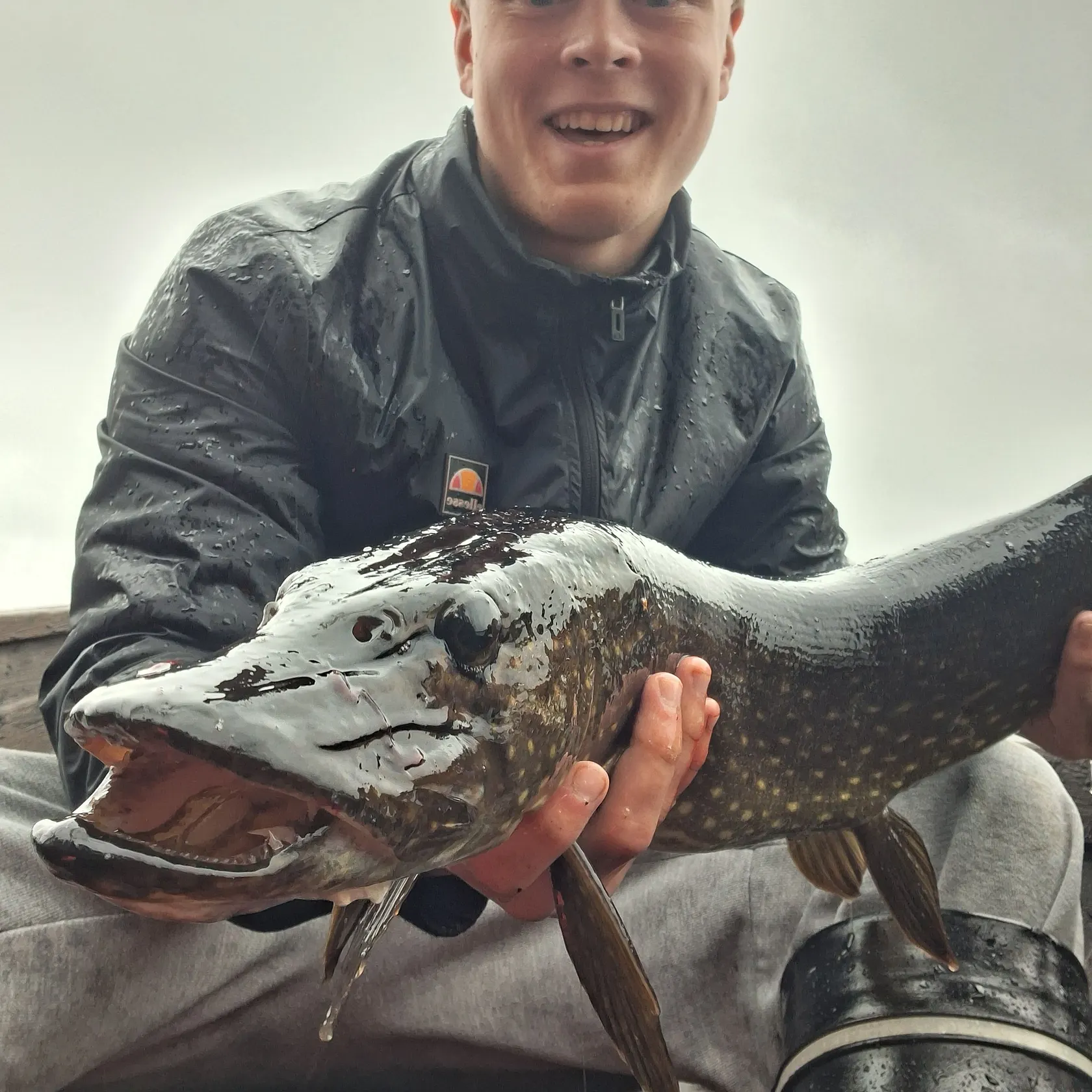 Northern pike caught on Fishbrain