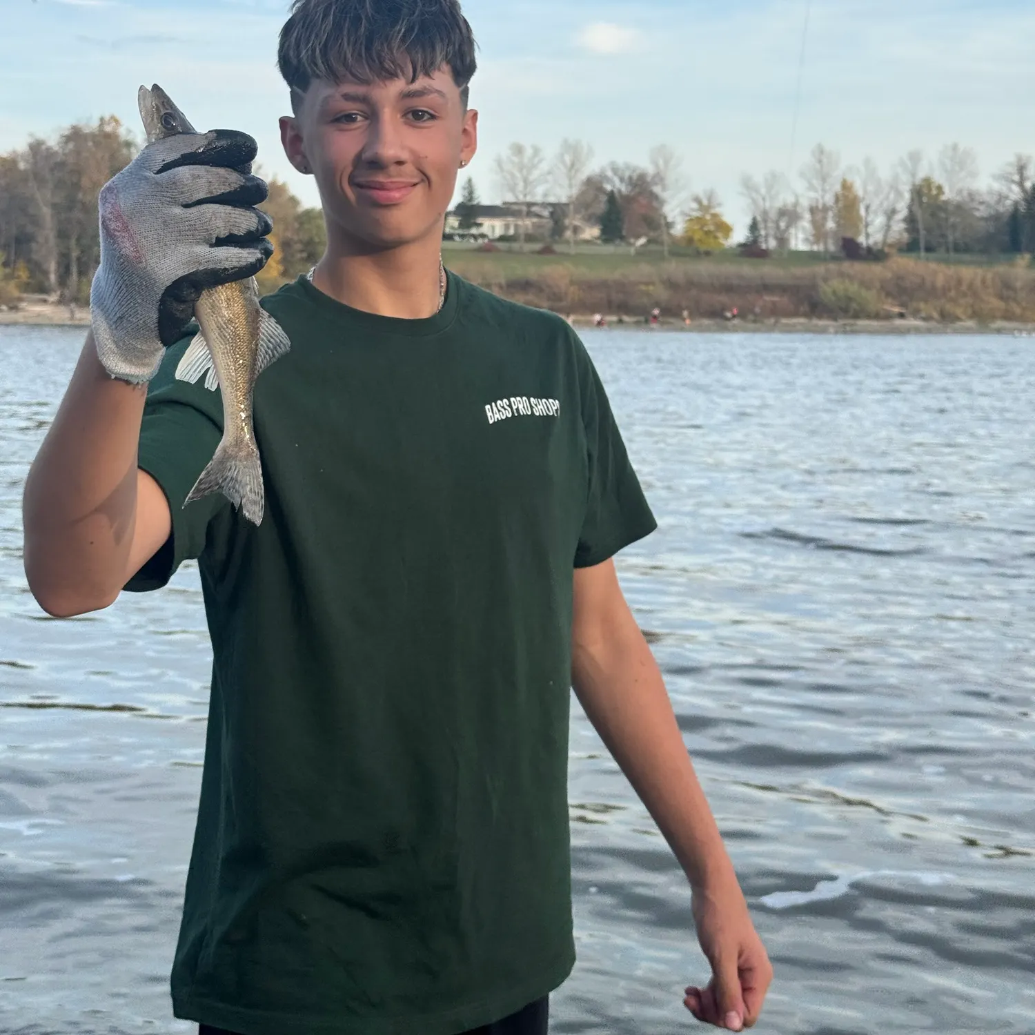 Sauger caught on Fishbrain
