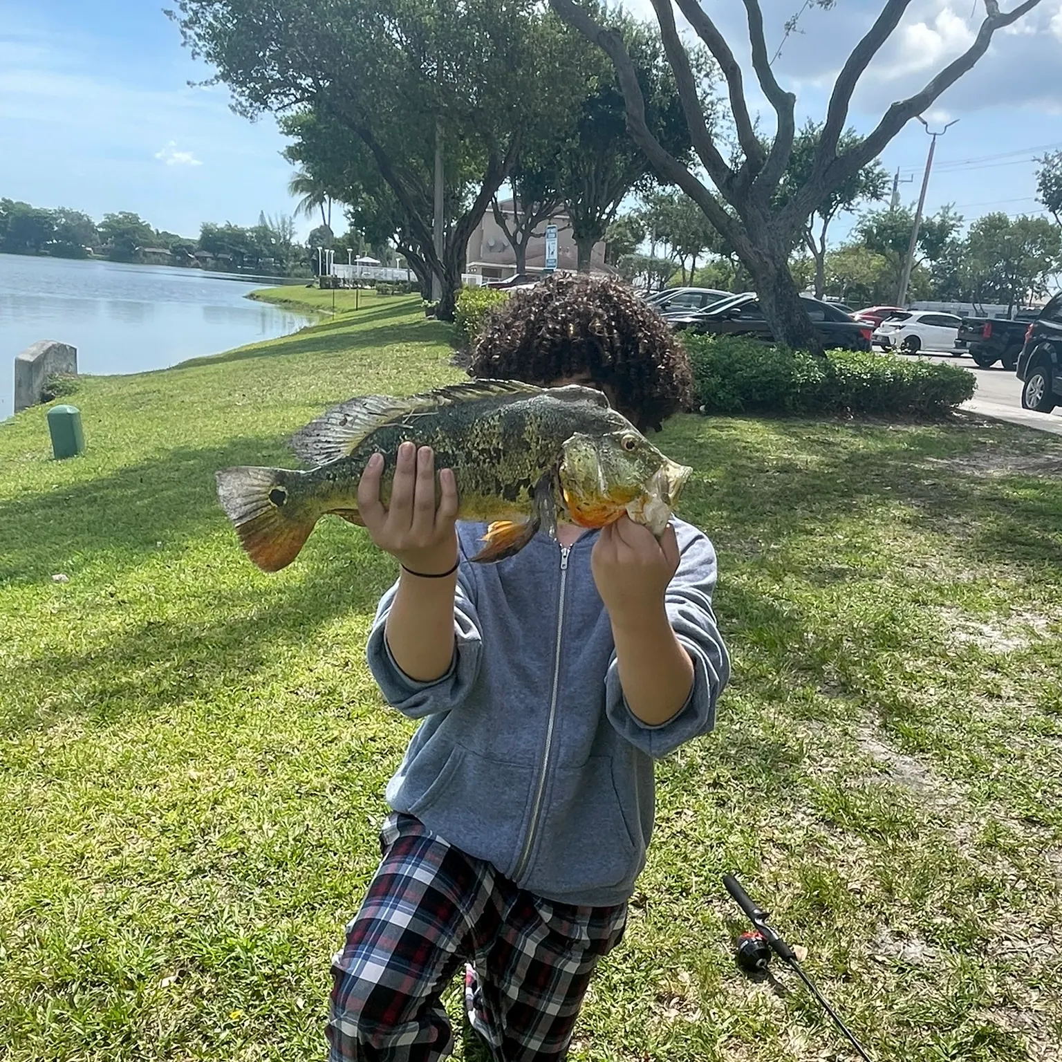 The most recent Butterfly peacock bass catches on Fishbrain