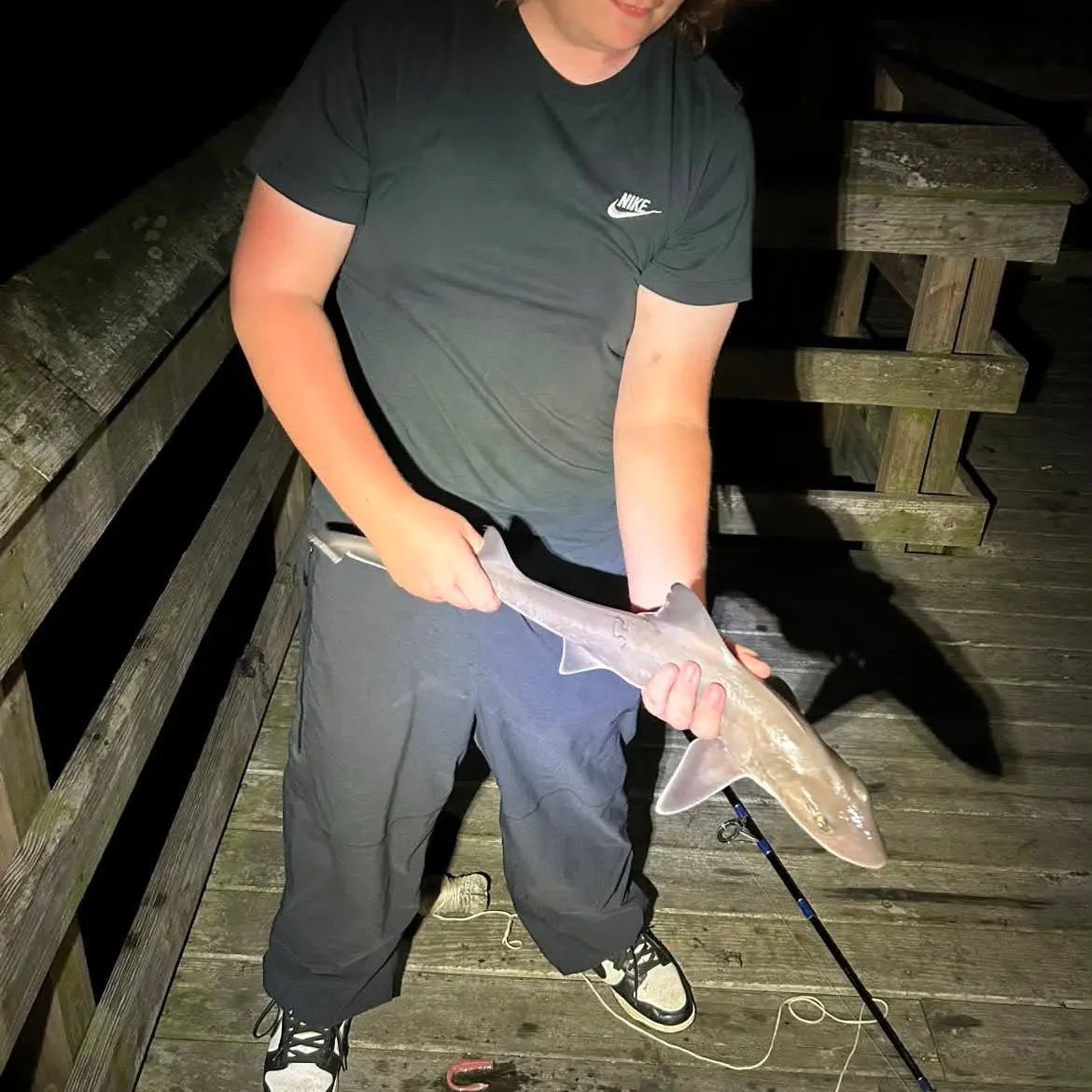 Dusky smooth-hound caught on Fishbrain