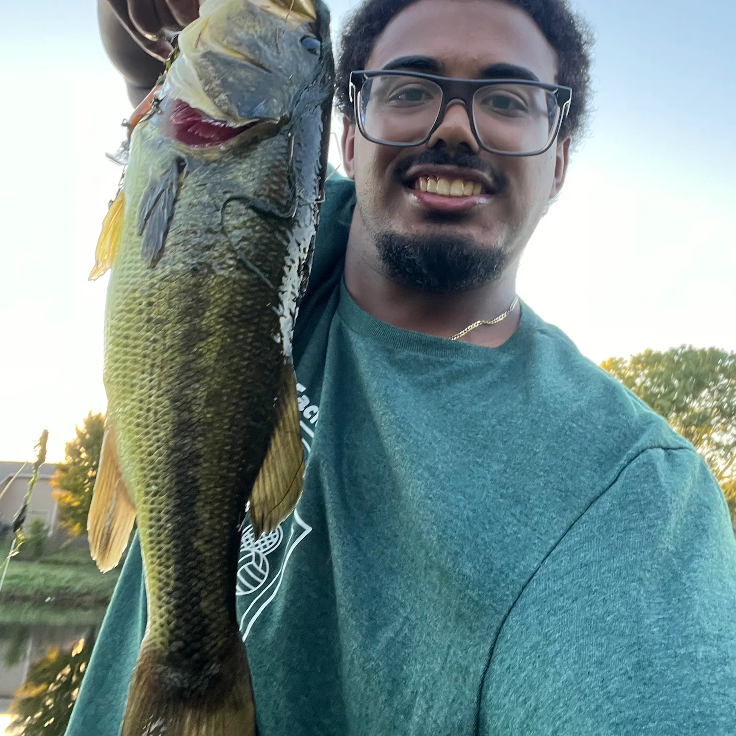 Largemouth bass caught on Fishbrain