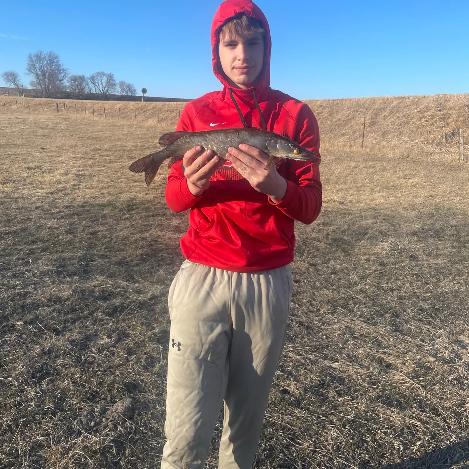 most liked catch image