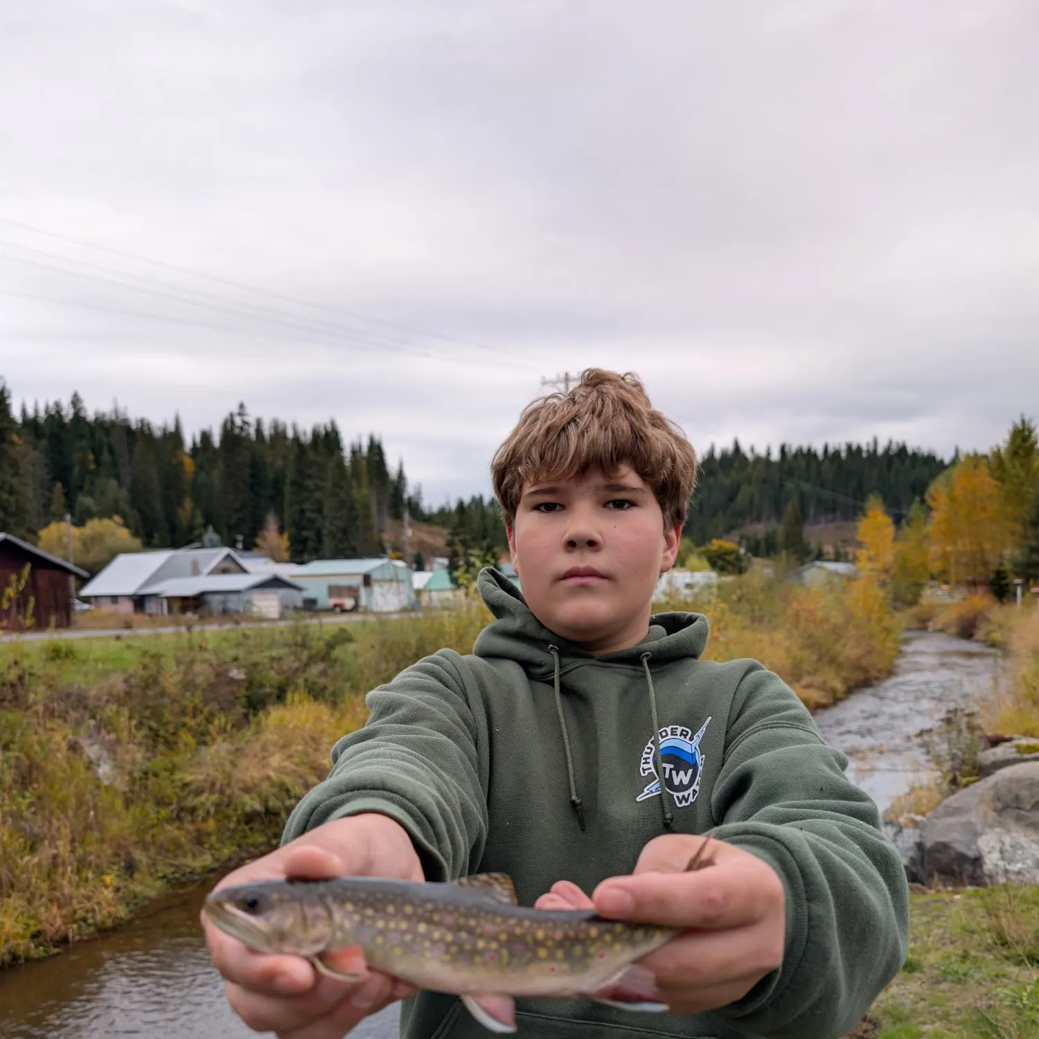 Brook trout caught on Fishbrain