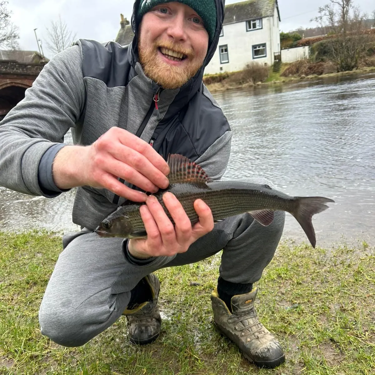The most recent European grayling catches on Fishbrain
