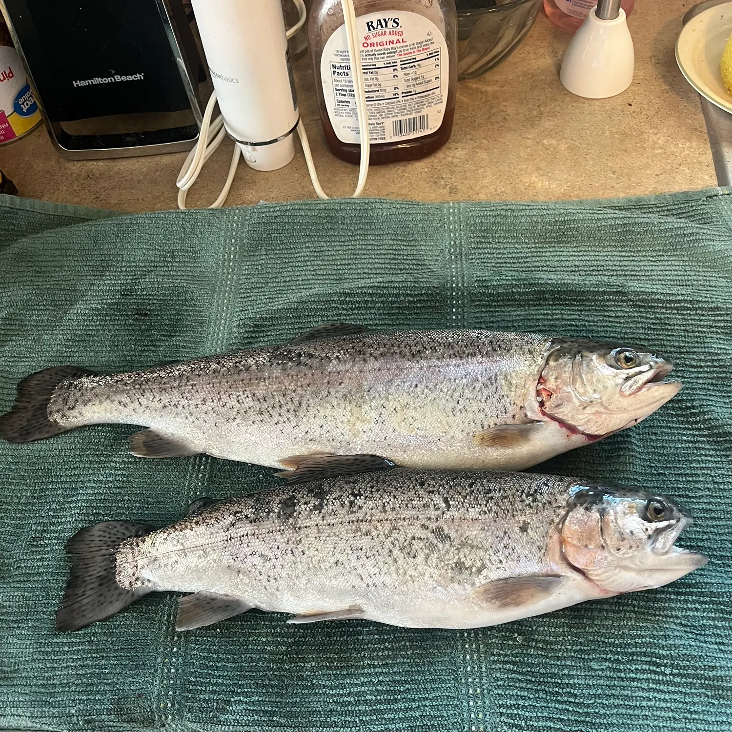 recently logged catches