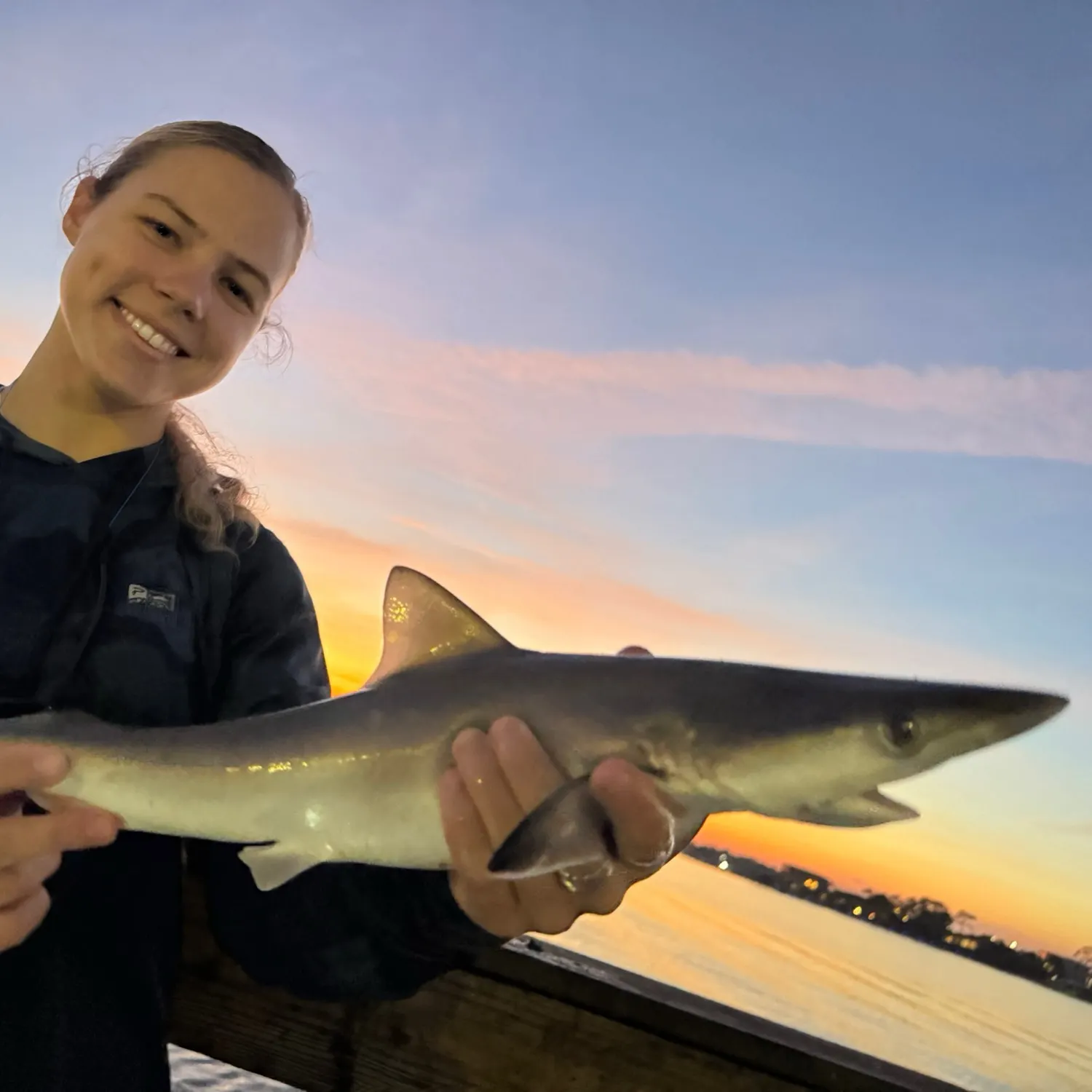 The most recent Atlantic sharpnose shark catches on Fishbrain