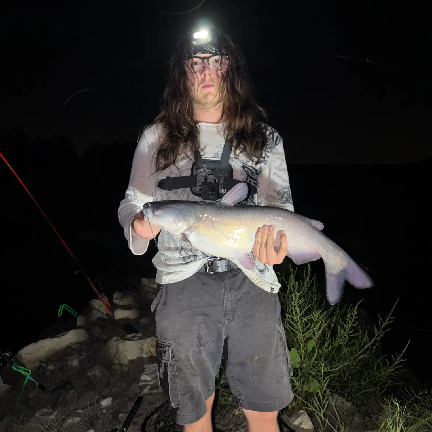 Blue catfish caught on Fishbrain