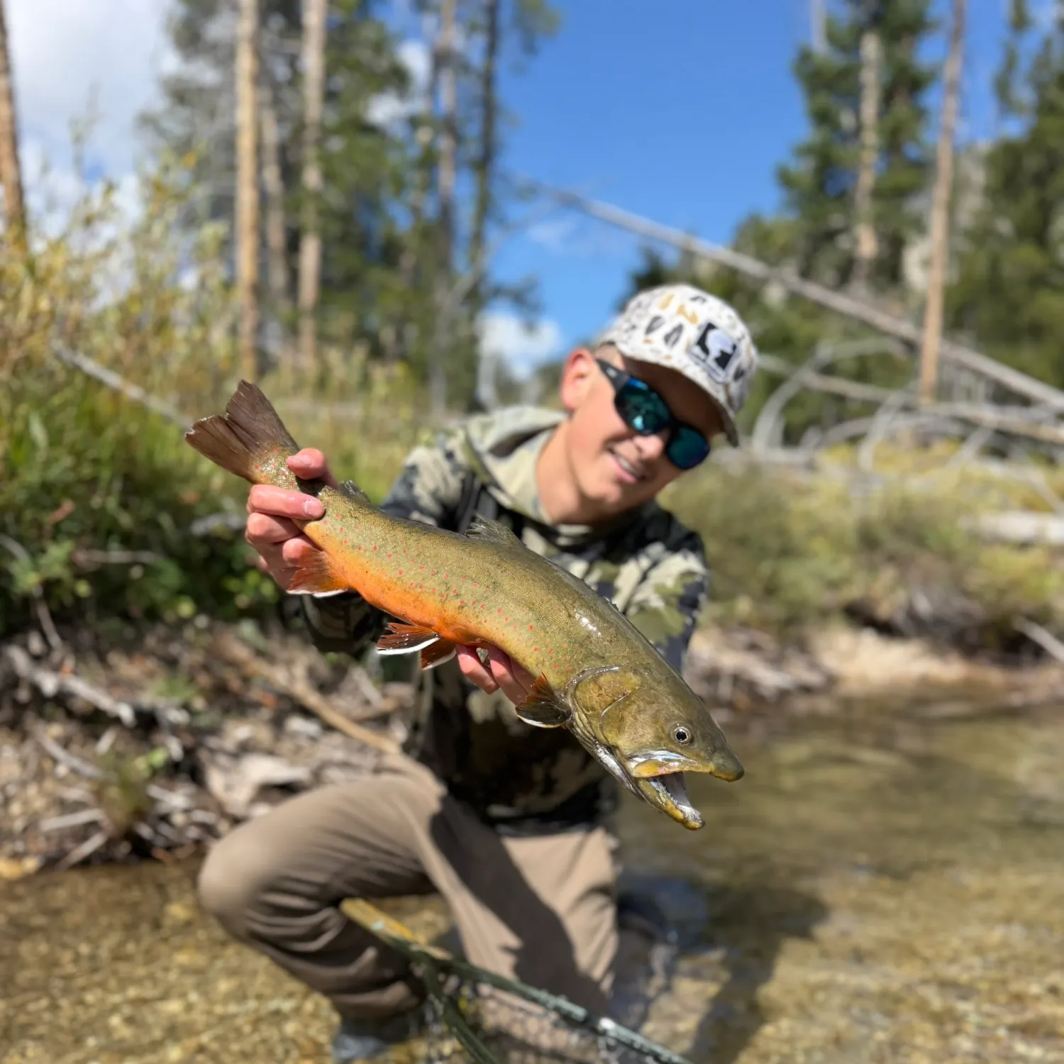 The most recent Bull trout catches on Fishbrain