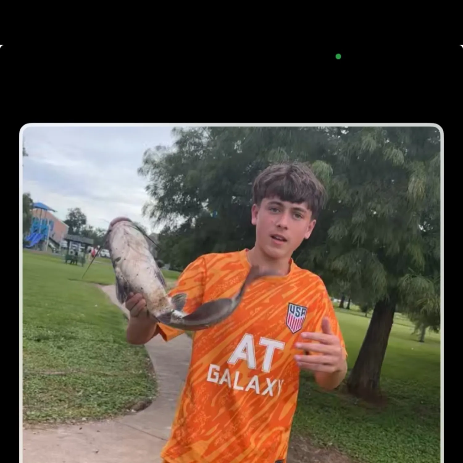 recently logged catches